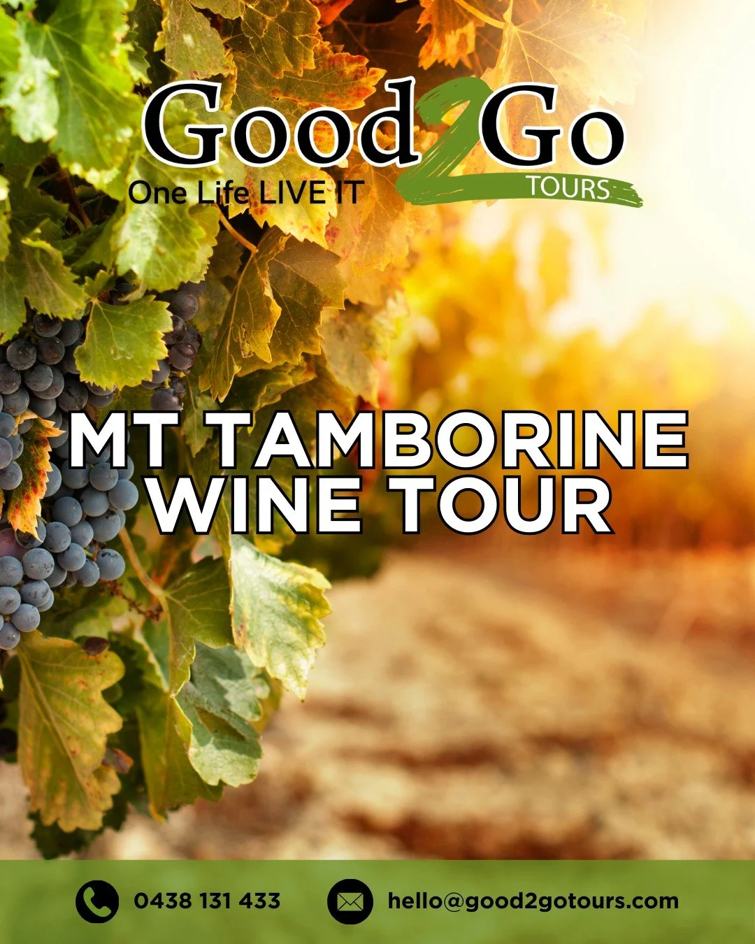 Need an excuse to get the crew together? Good2Go Tours has you covered.

Our Mt Tamborine Wine Tour takes groups of 6-10 people to 3 wineries, a distillery, and a brewery. Lunch is sorted, transport is handled, and all you need to do is show up ready