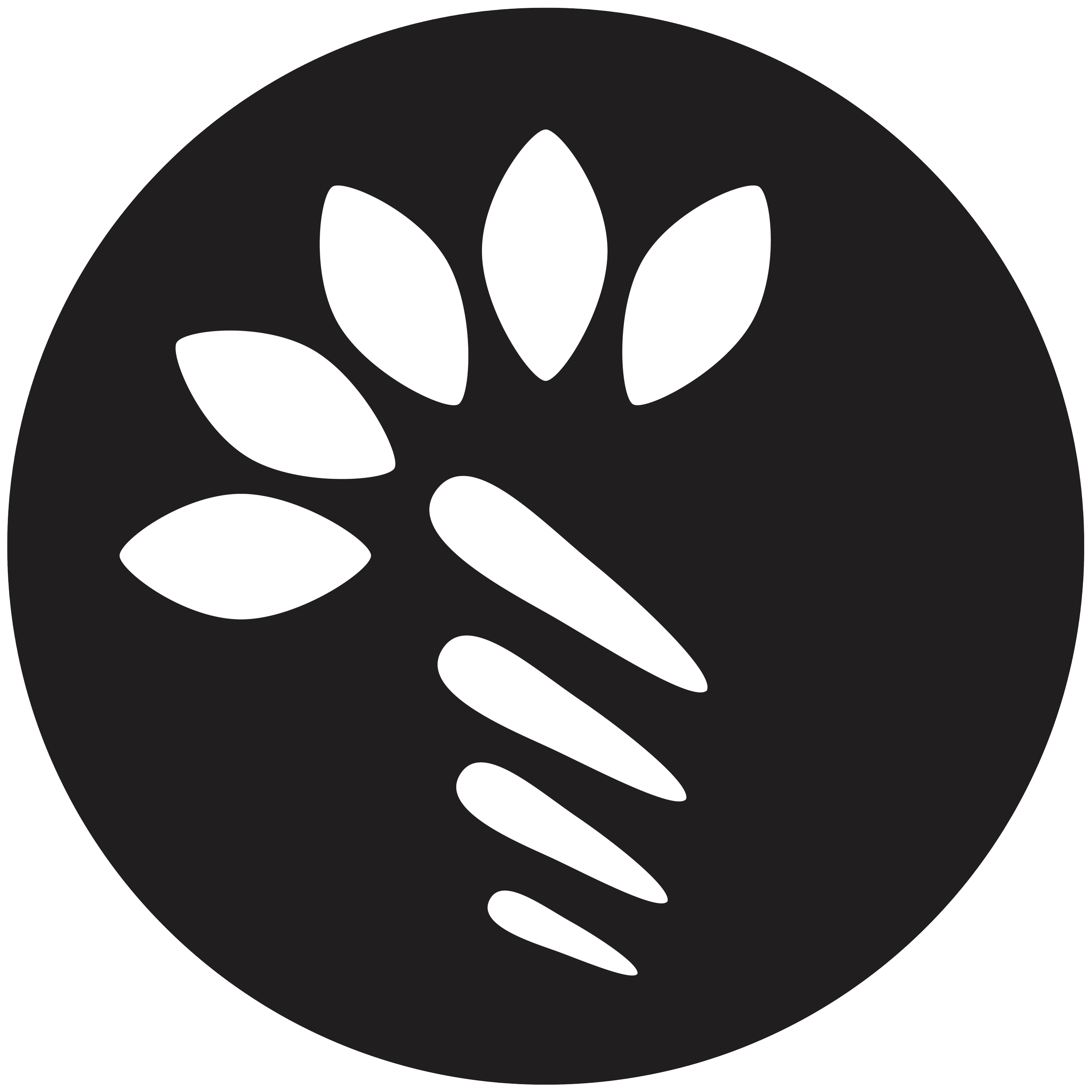 Logo Ripeglobal