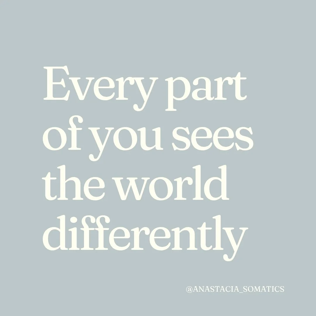 Somatic Parts Work invites us to explore how every part of us sees the world through its own story.
Slowing down helps us notice, who&rsquo;s seeing right now?
The protector? The achiever? The tired one? The tender one? 

When your nervous system is 