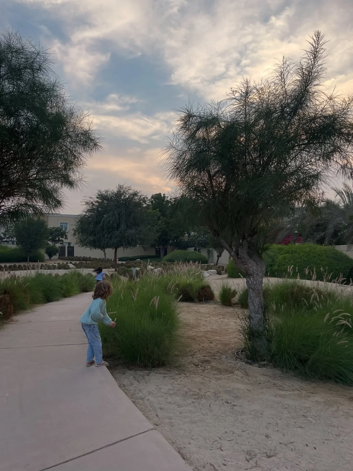 2025 was a year of clarity, refinement, and embodied leadership.

Instead of expanding outward, I intentionally simplified, building my work from a trauma-informed, nervous-system-led foundation.

This year taught me that strategic growth can be slow