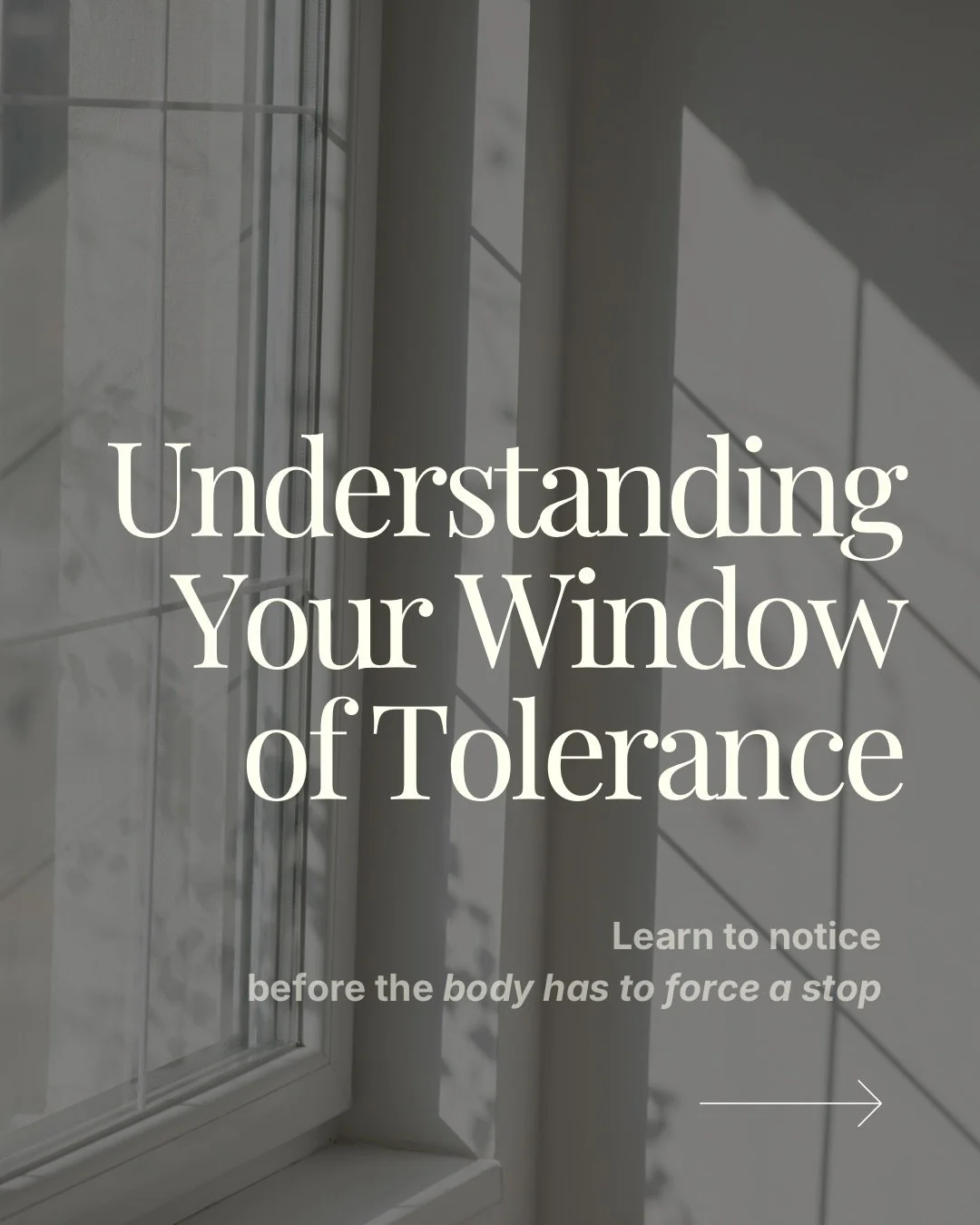 Over the past days I&rsquo;ve been sharing about the body&rsquo;s early signals, the quiet signs that often go unnoticed until exhaustion arrives.

This Saturday, I&rsquo;m hosting a live online masterclass exploring exactly this:

✧ Your Window of T