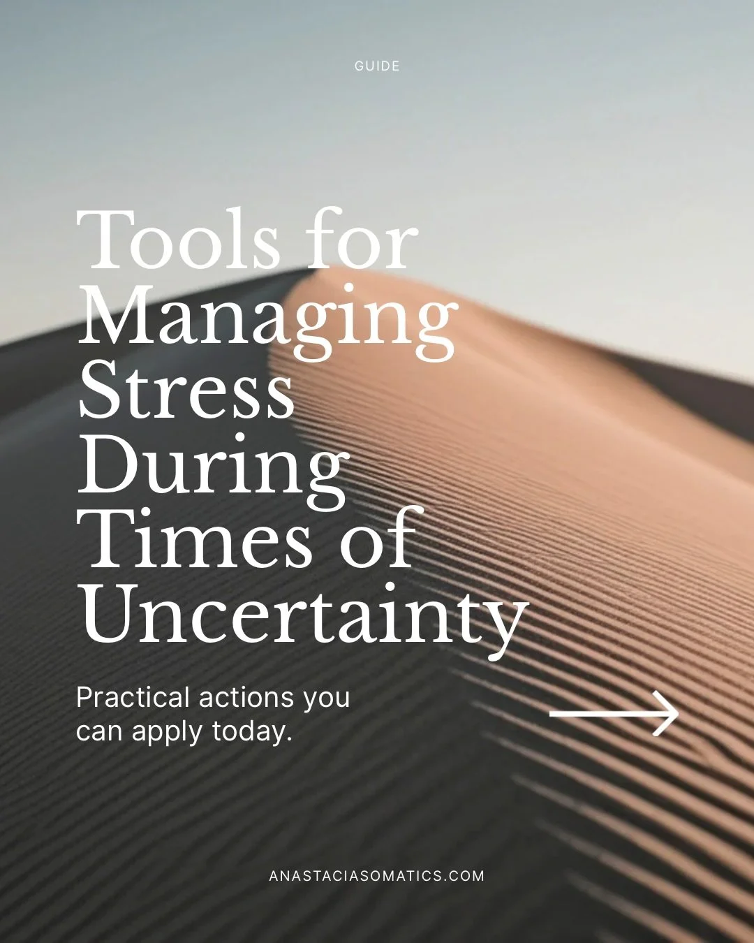 In times of uncertainty, the nervous system narrows.

Attention shortens.
Reactivity increases.
Numbness can follow.

This guide offers body-based and science-backed polyvagal practices, and practical tools to help you:

&bull; Regulate activation
&b