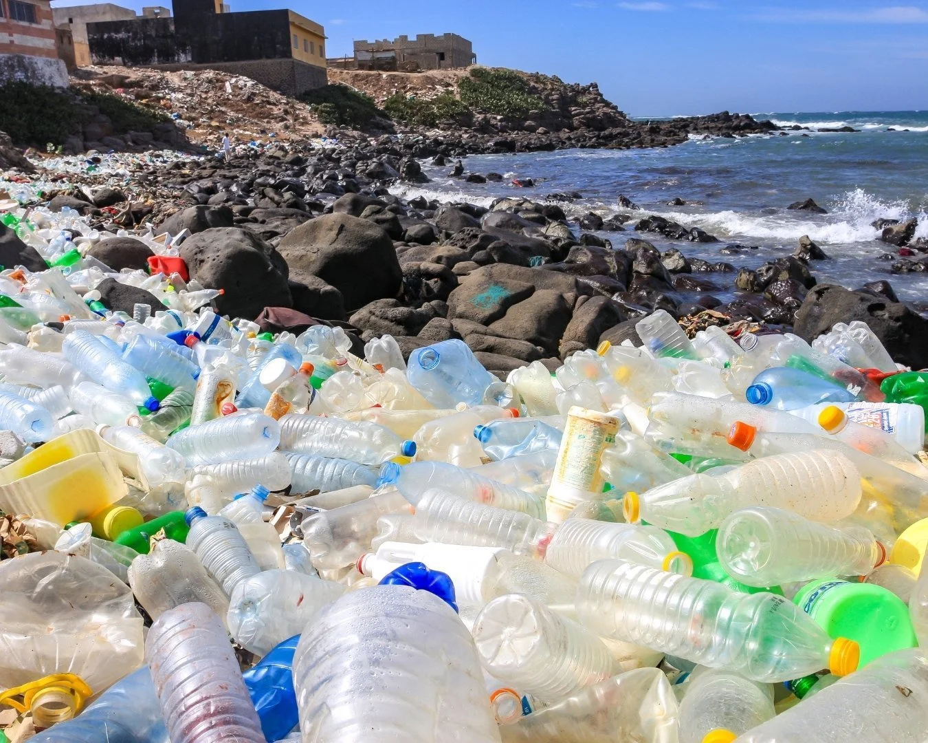 Single-Use Plastic Bottles: Why They're Going Away &amp; What's Next?