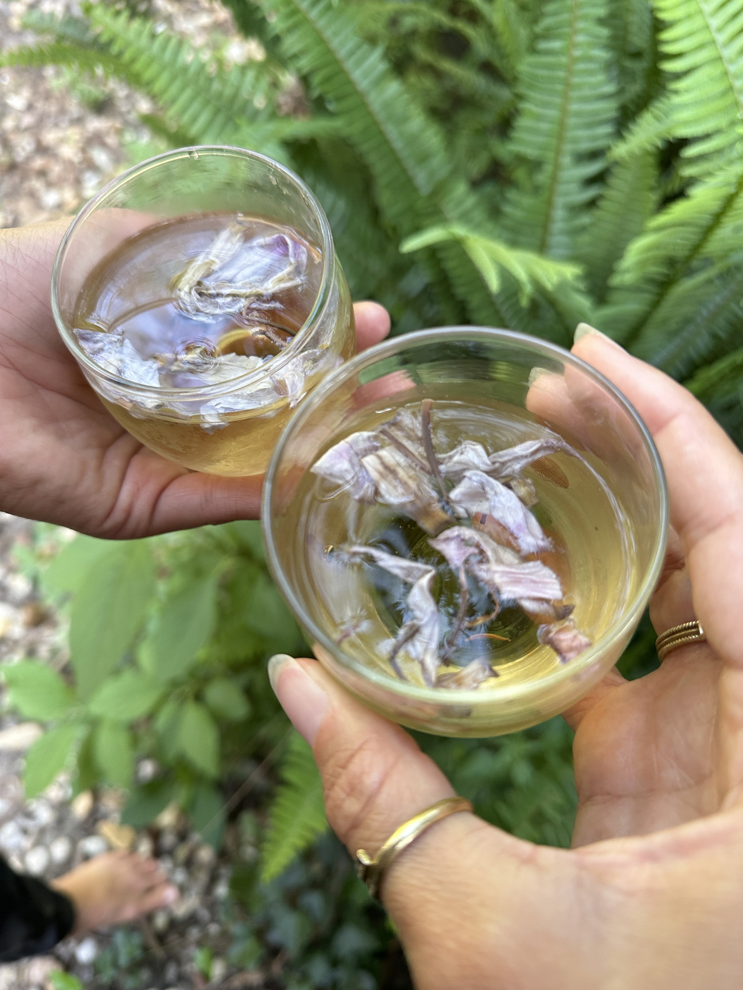 Lotus infused cordials shared with devotees.