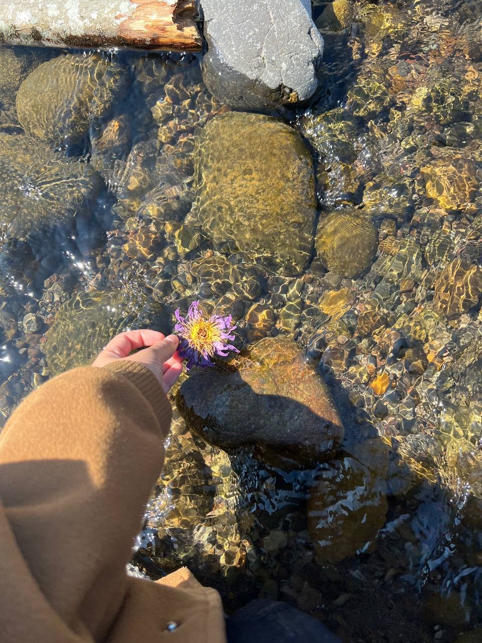 Many offerings to the rivers all over the world 
