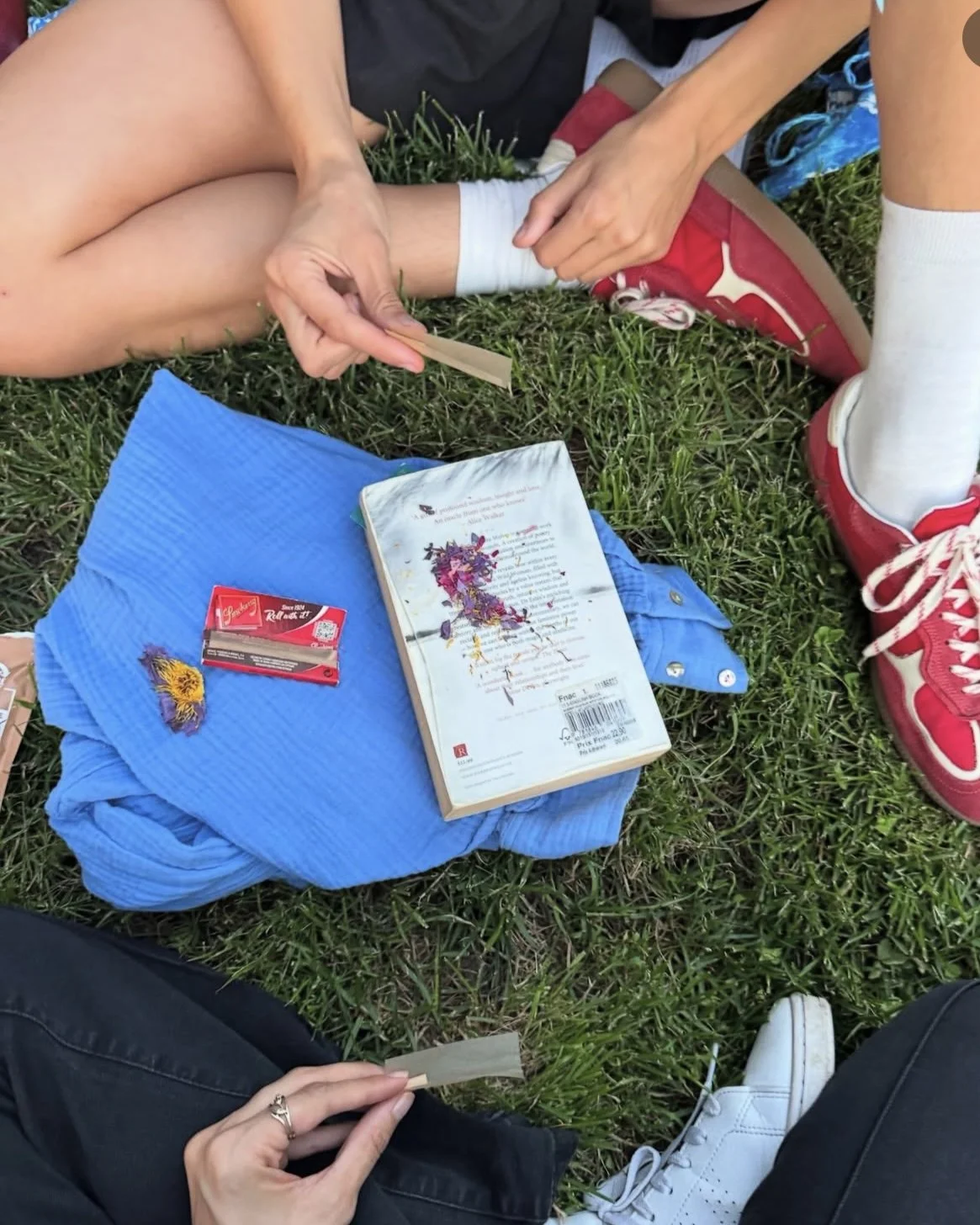 Zsofia rolling smokes in Month 6 !