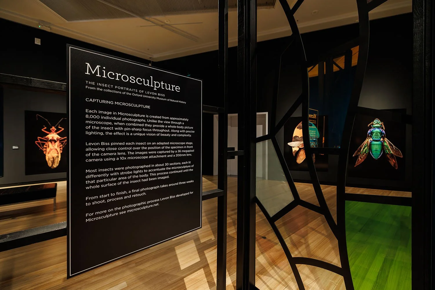 019_WaikatoMuseum_Microsculpture_20May2026.jpg