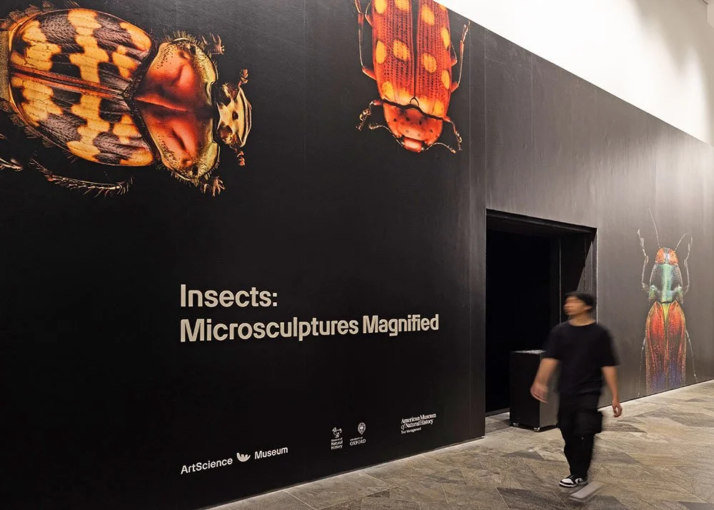 ASM Insects Exhibition Archival-14.jpg