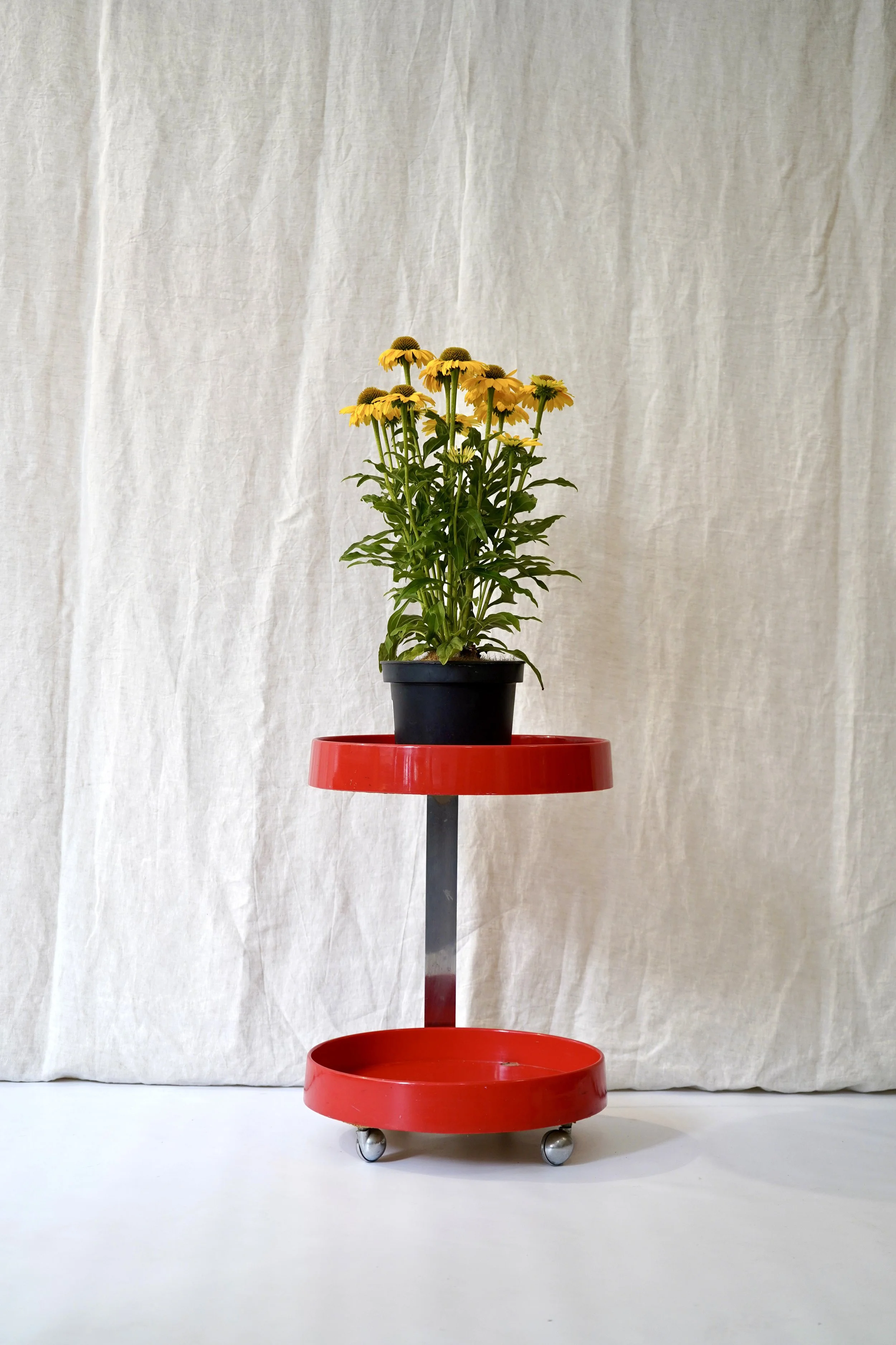 Carrito circular rojo