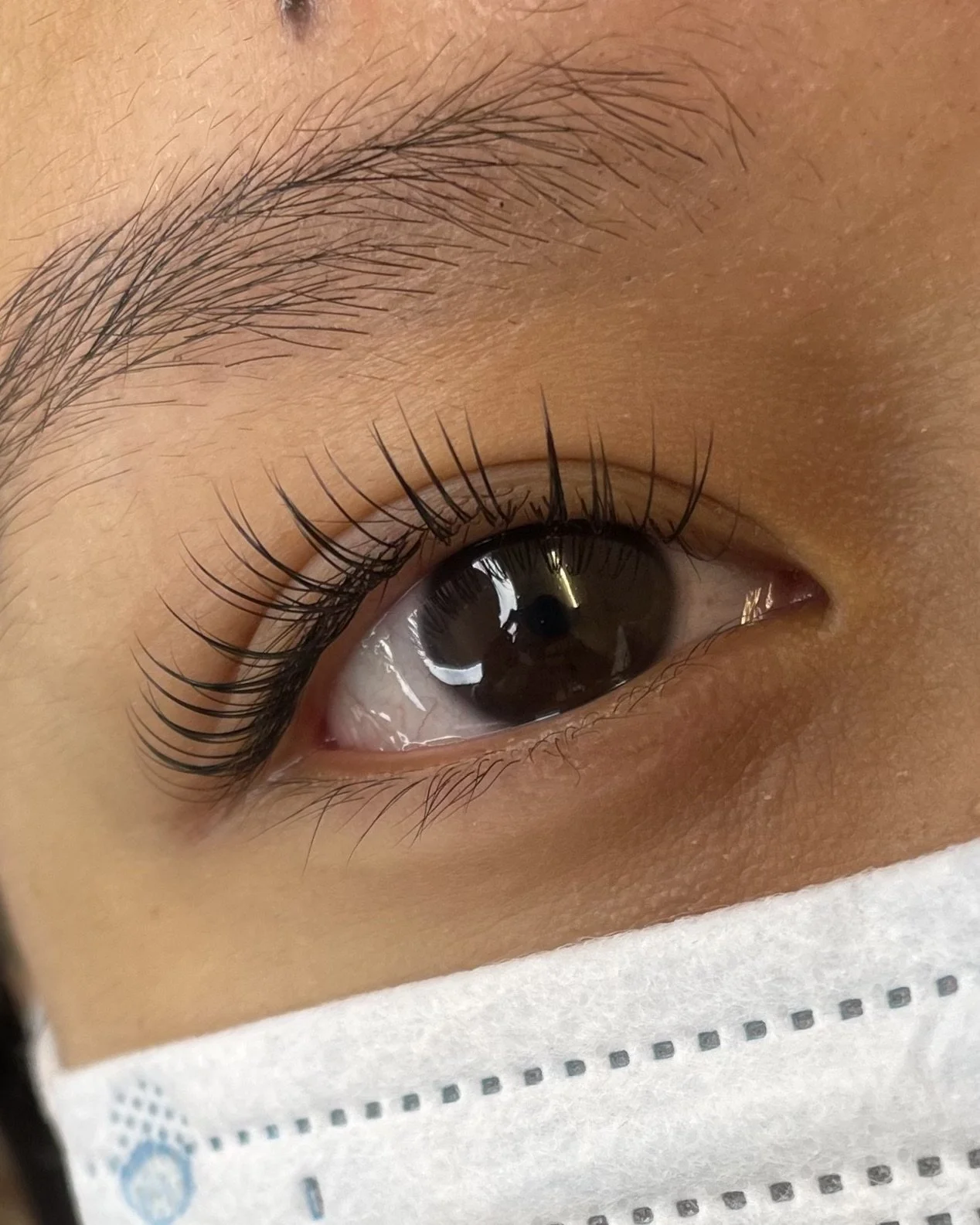 lash-extension-auckland-cbd-27.jpeg