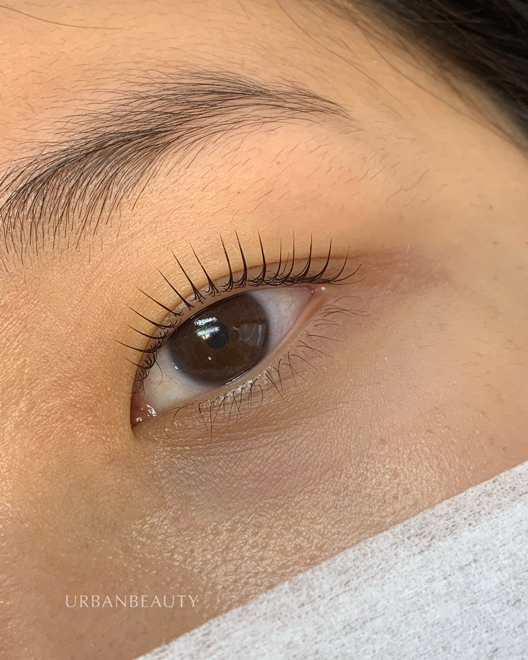 korean-lash-lift-auckland-cbd-3.png