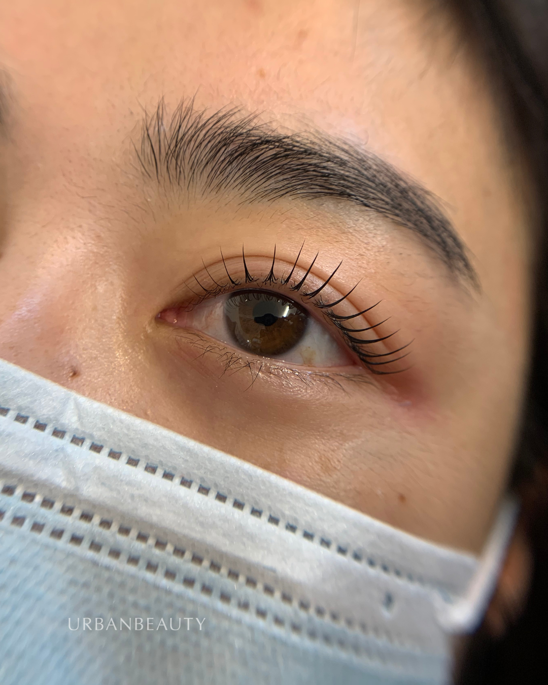 korean-lash-lift-auckland-cbd-12.png