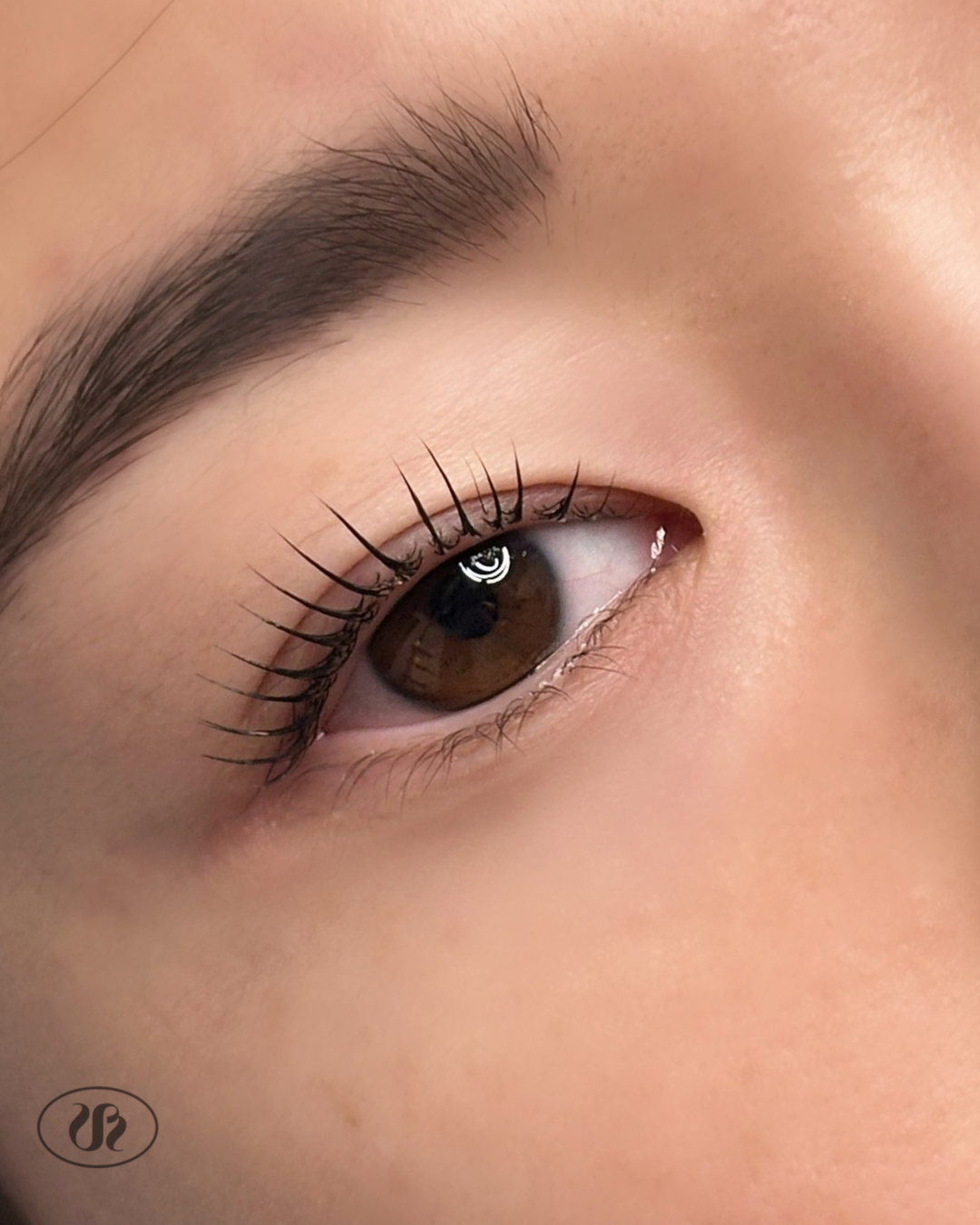 korean-lash-lift-auckland-cbd-16.PNG