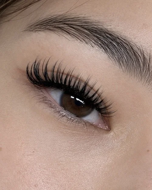 Wet lash extensions styling upgrade, Auckland CBD