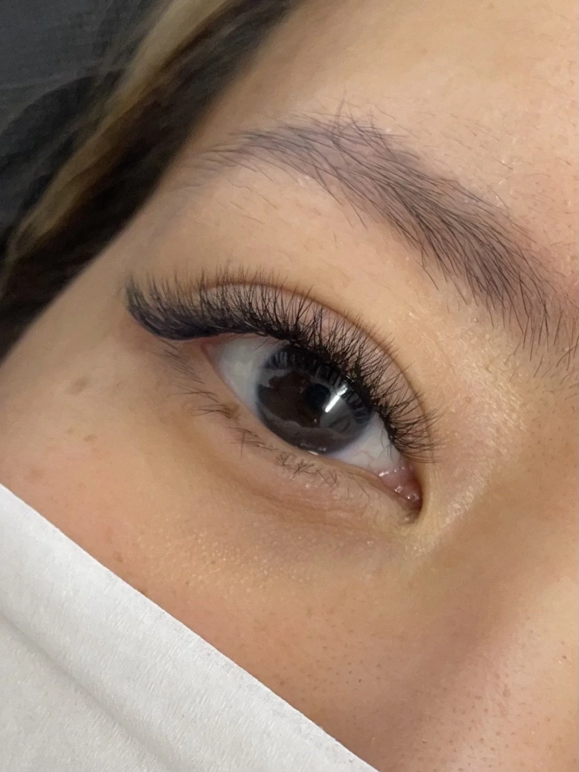 lash-extension-auckland-cbd-33.jpeg