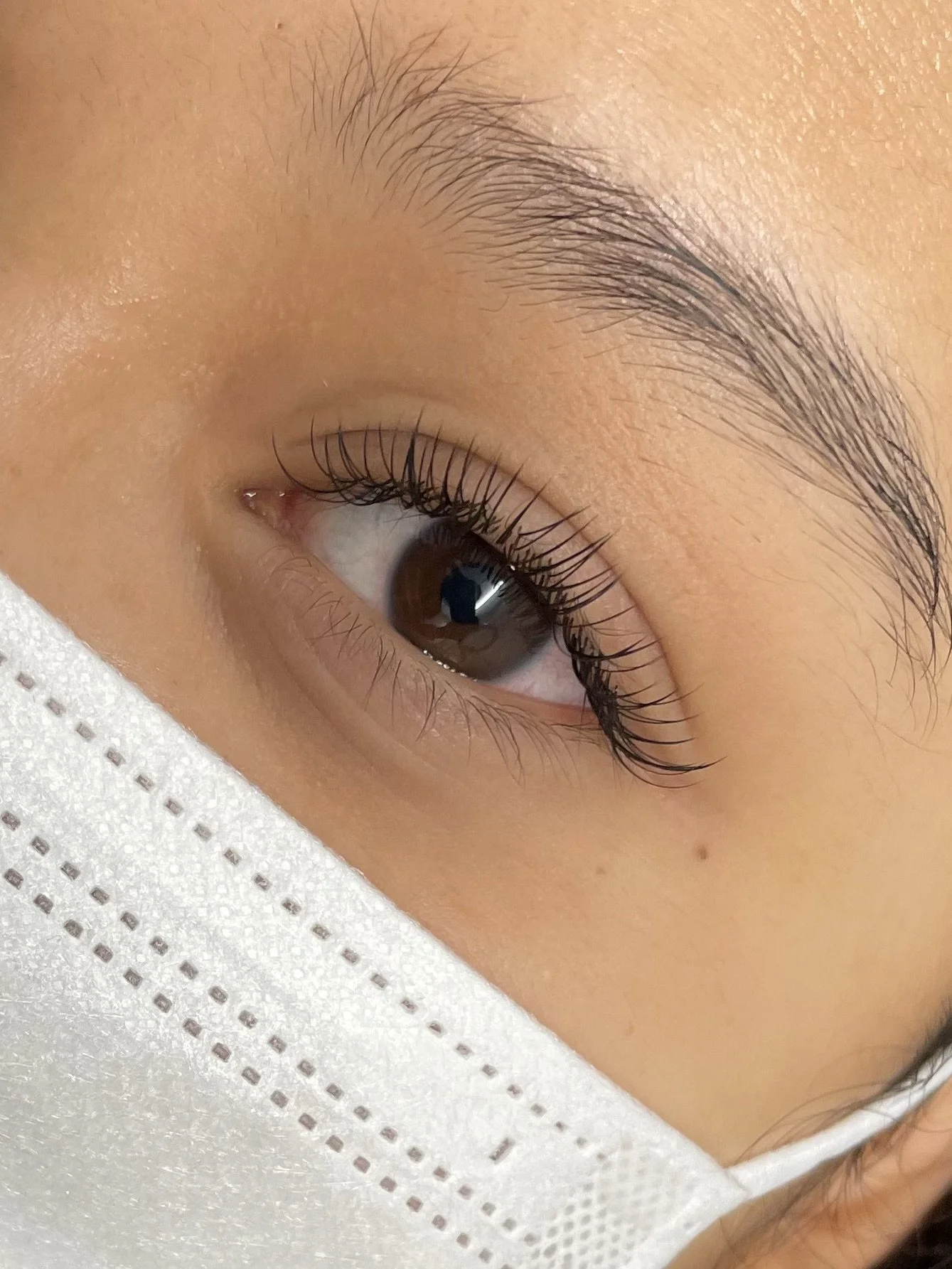 lash-extension-auckland-cbd-15.jpeg