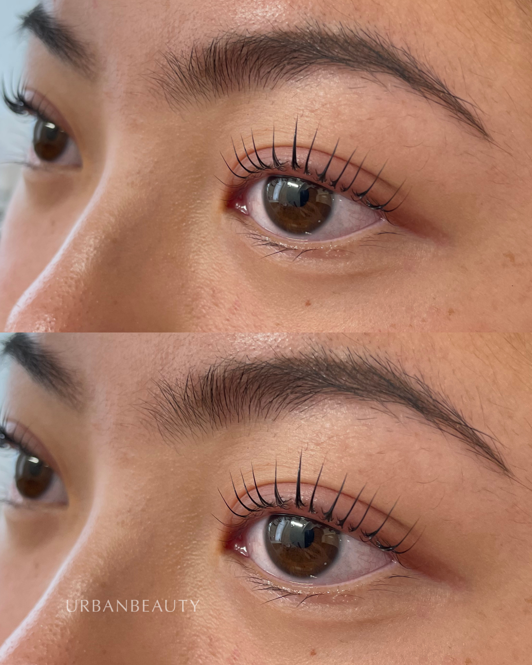 korean-lash-lift-auckland-cbd-6.png