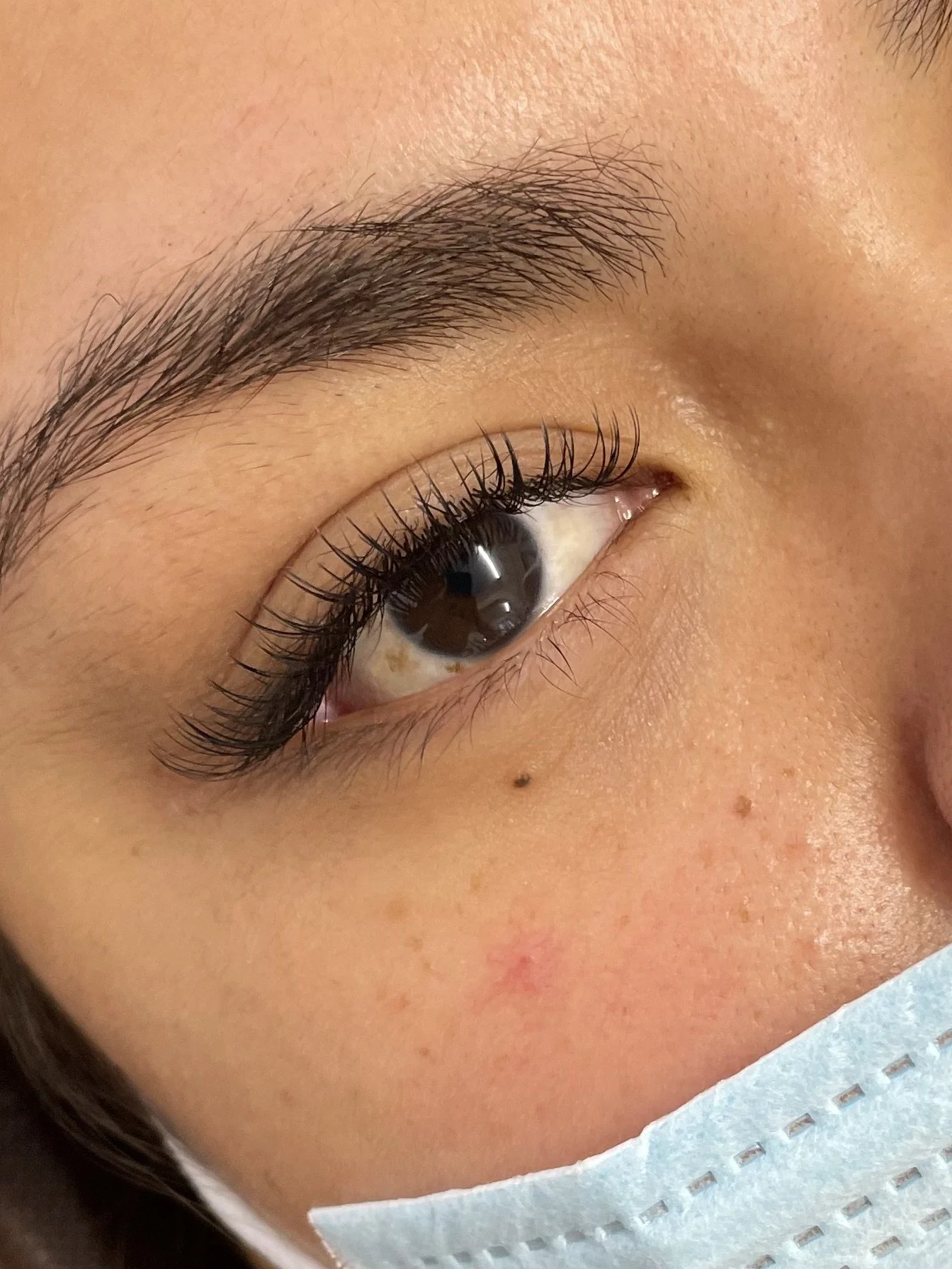lash-extension-auckland-cbd-17.jpeg
