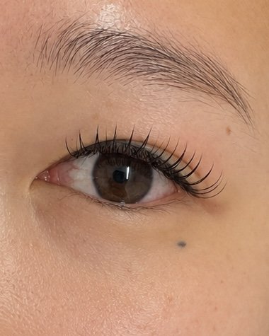 Mascara lash extensions styling upgrade, Auckland CBD