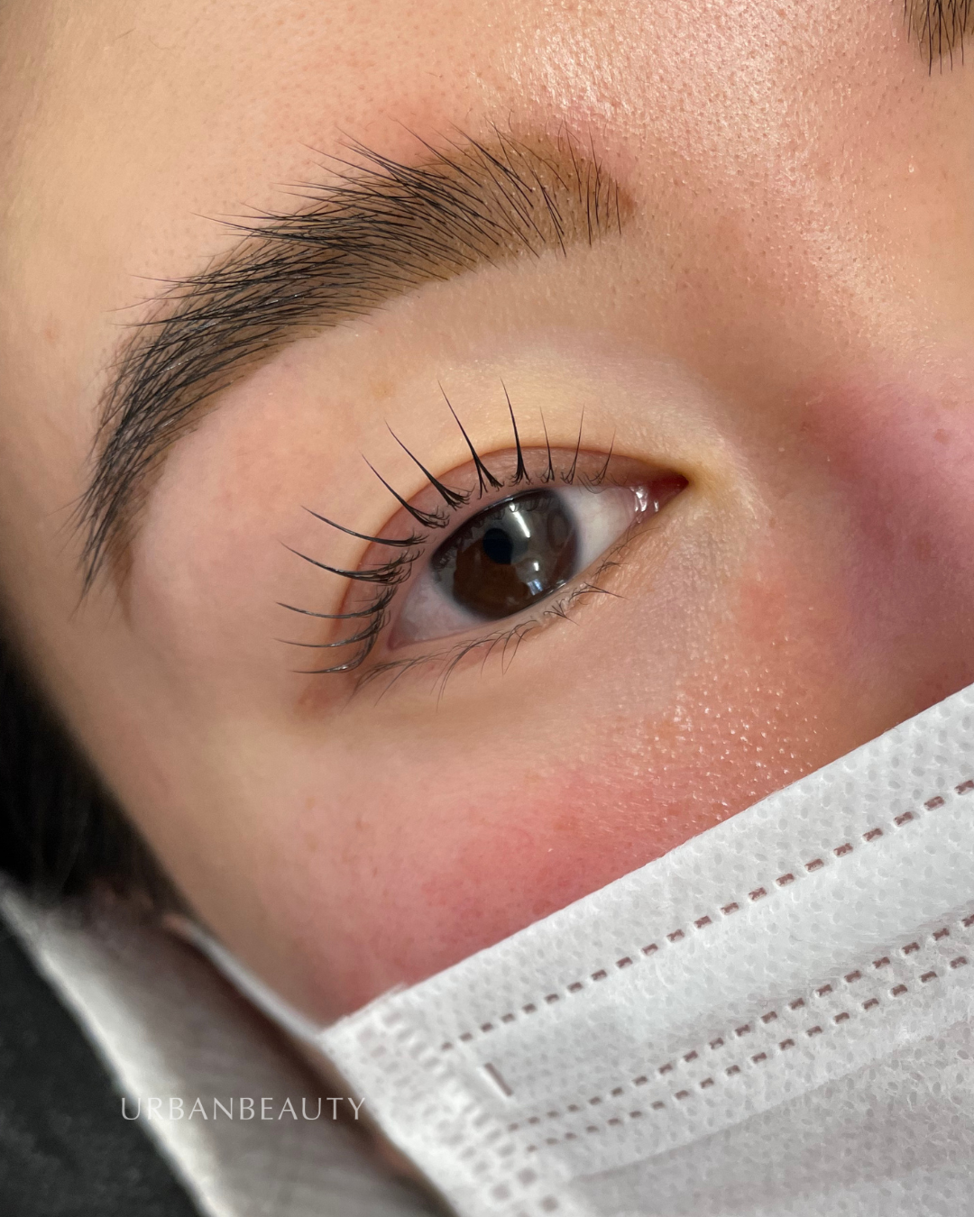 korean-lash-lift-auckland-cbd-11.png