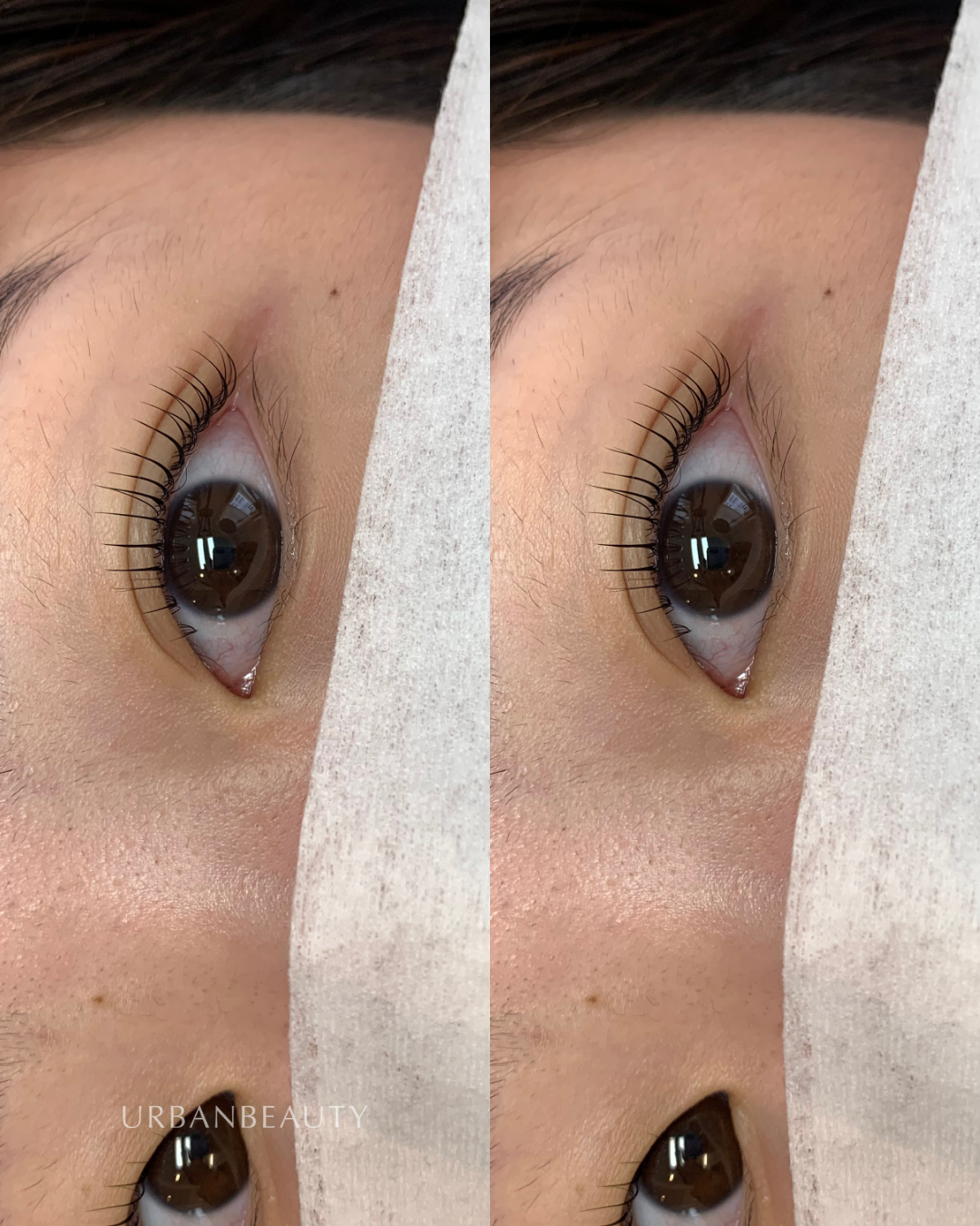 korean-lash-lift-auckland-cbd-9.png