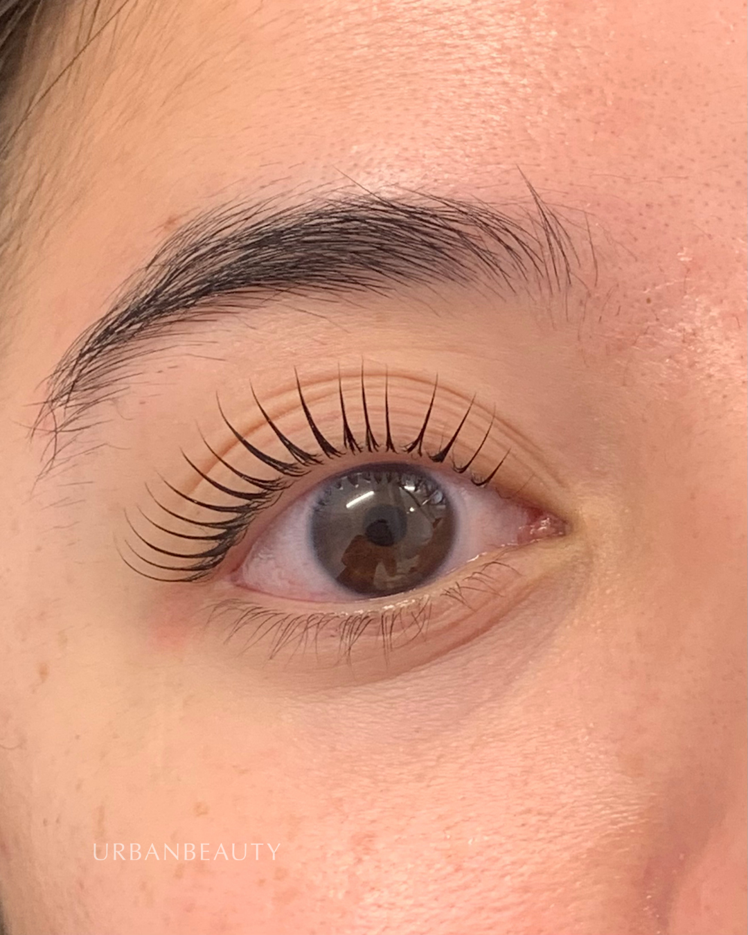 korean-lash-lift-auckland-cbd-13.png