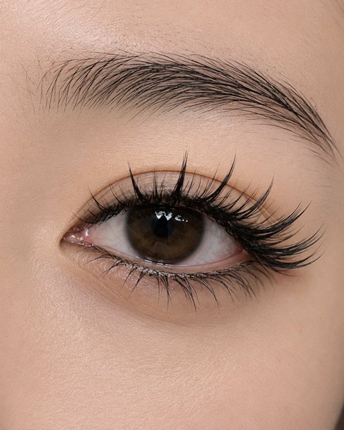 Anime lash extensions styling upgrade, Auckland CBD