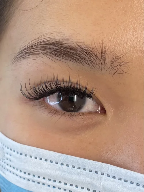 Classic wispy lash extensions, Auckland CBD