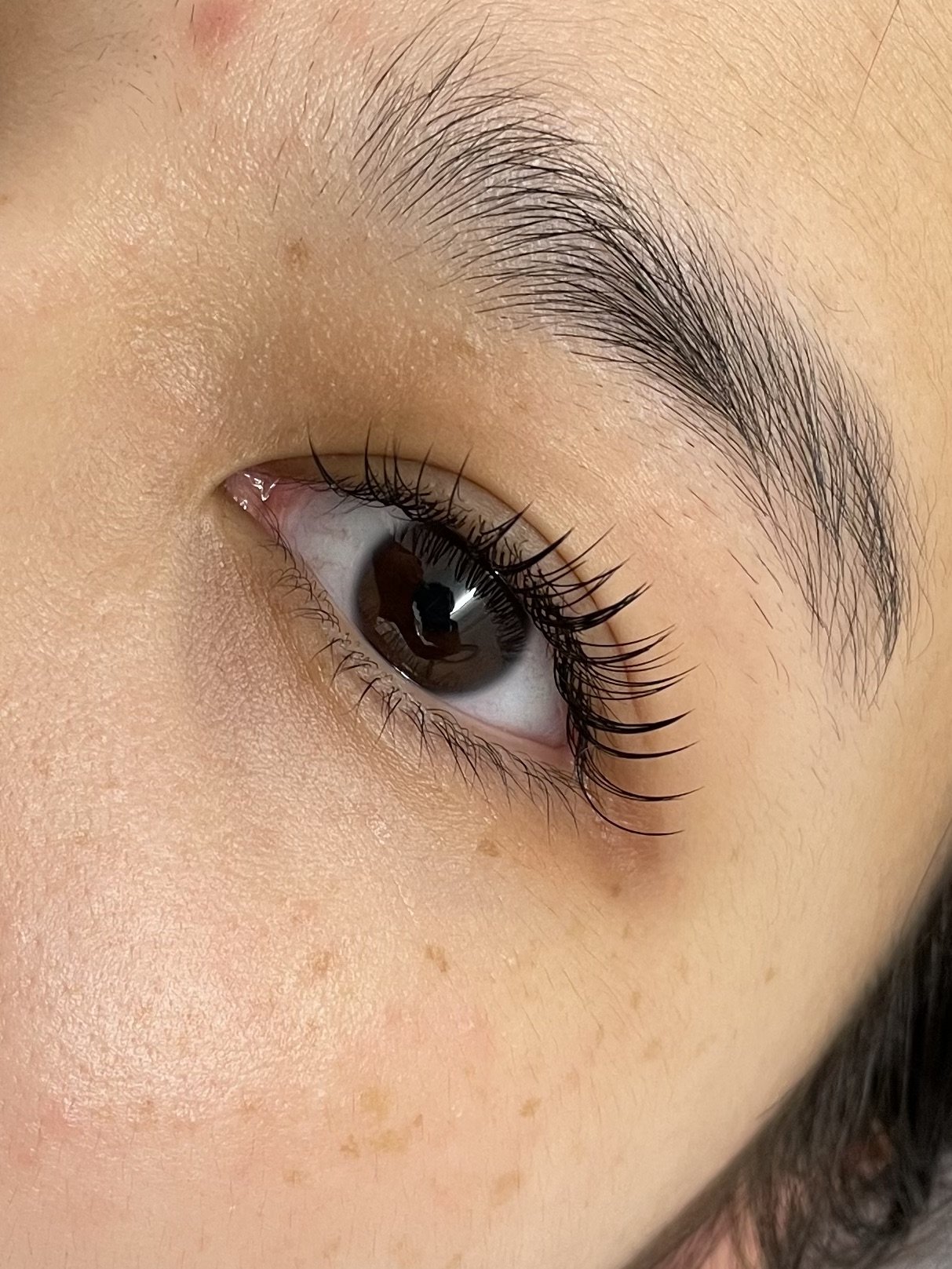 lash-extension-auckland-cbd-39.jpeg