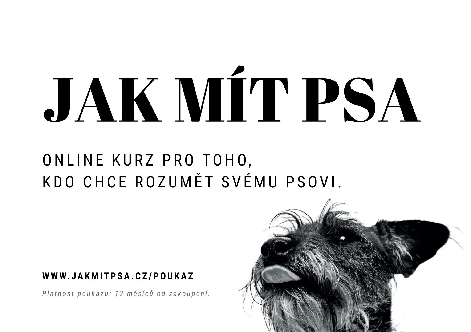 Poukaz na online kurz JAK MÍT PSA.