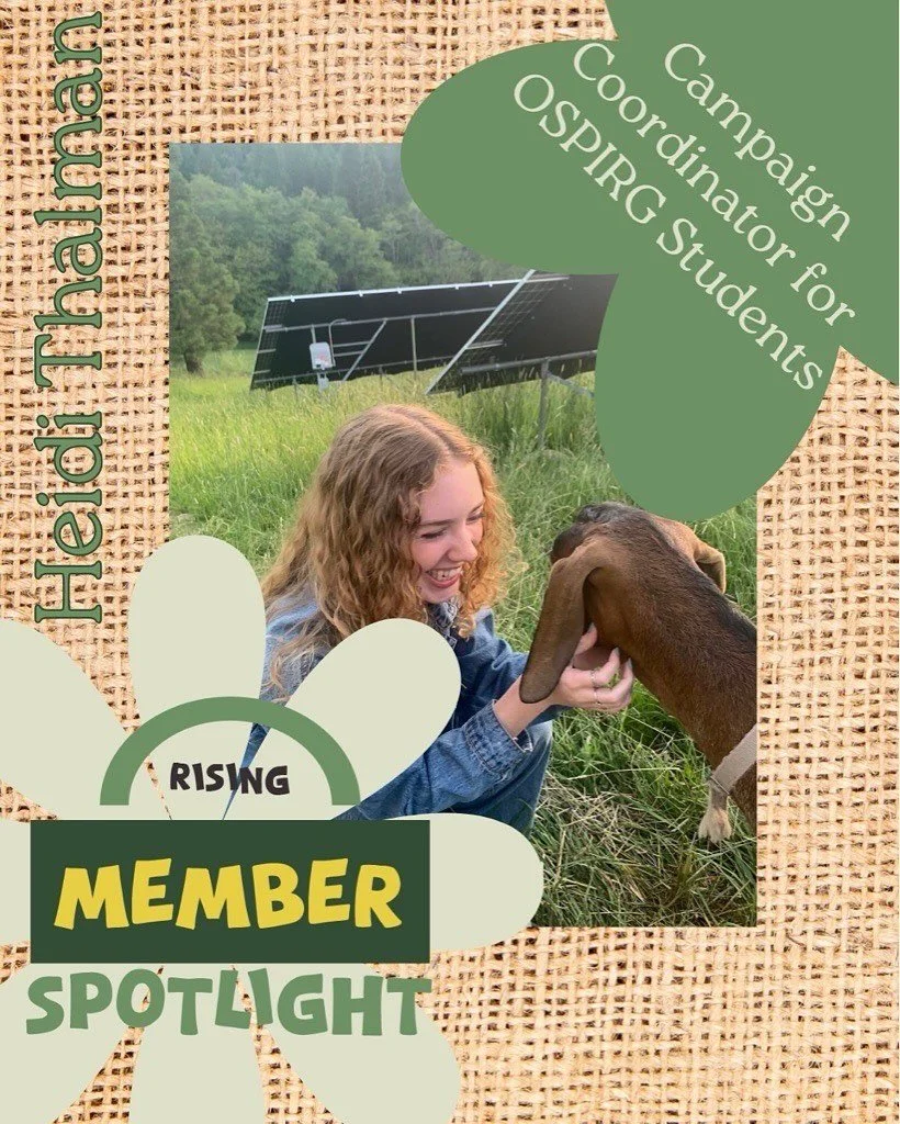 Member spotlight 🌲‼️

Heidi is the Campaign Coordinator for OSPRIG Students. Learn about the Defend our Wild Forests campaign she spearheads while working with Rising!