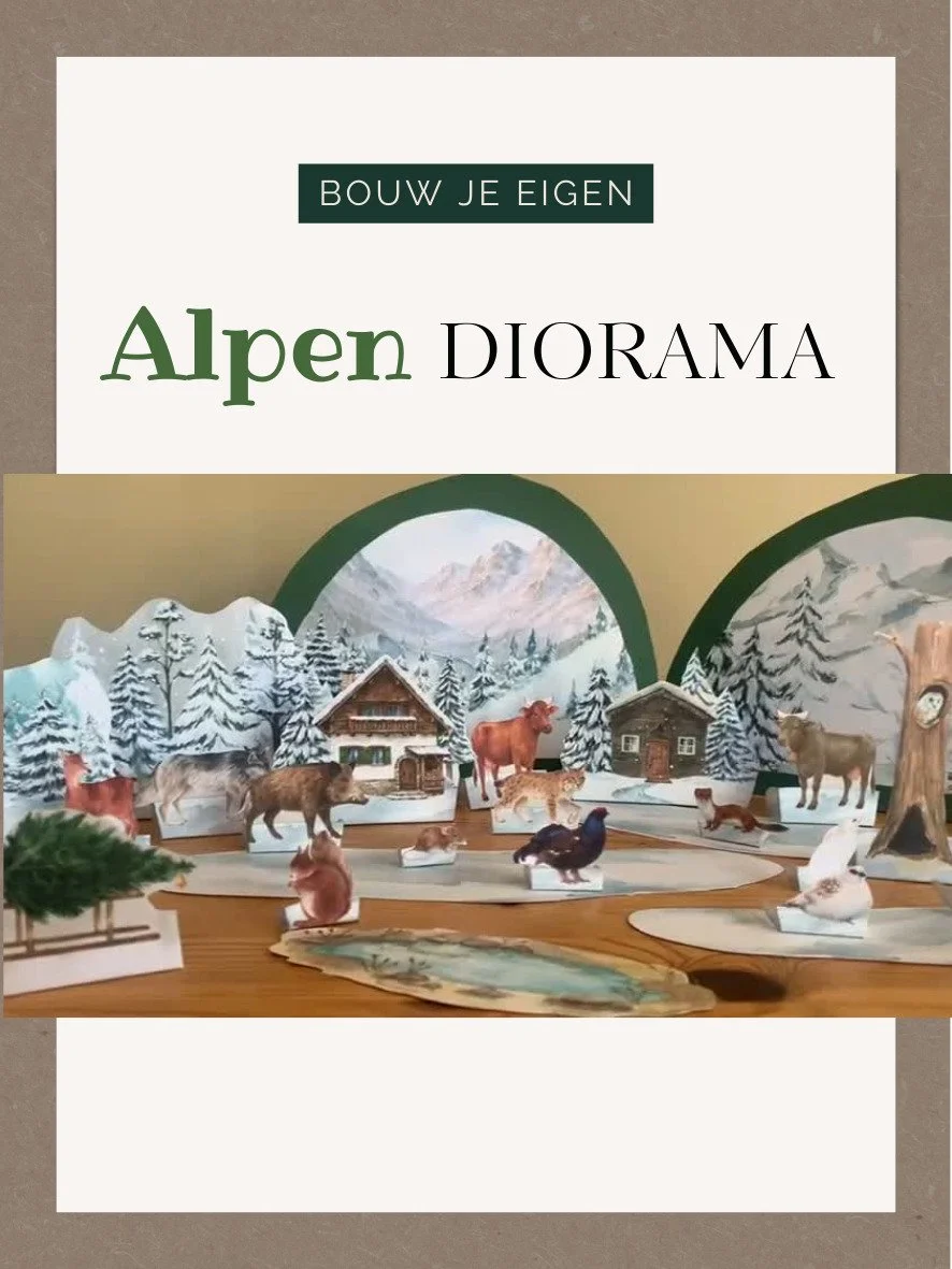 WhatsApp Image 202d.jpeg