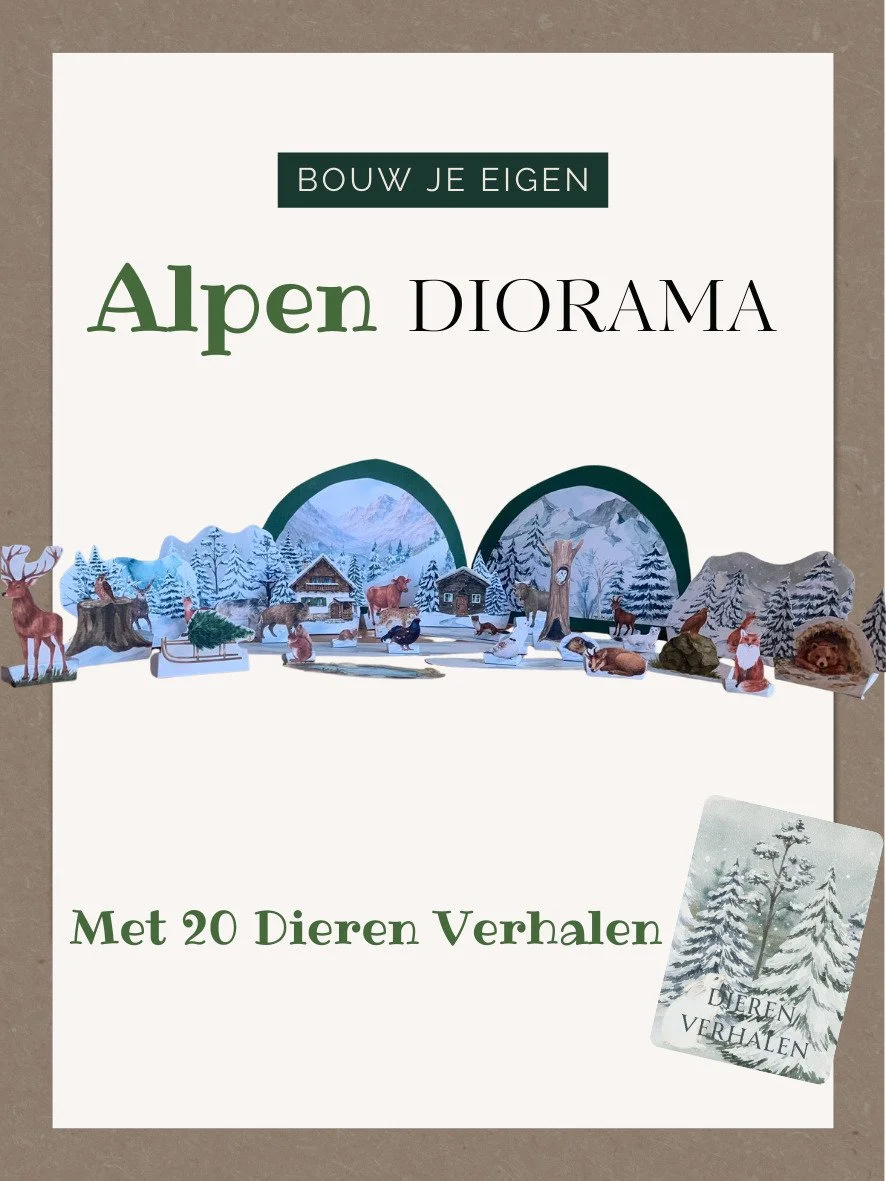 WhatsApp Image 2026-02-09 at 21.02.28.jpeg