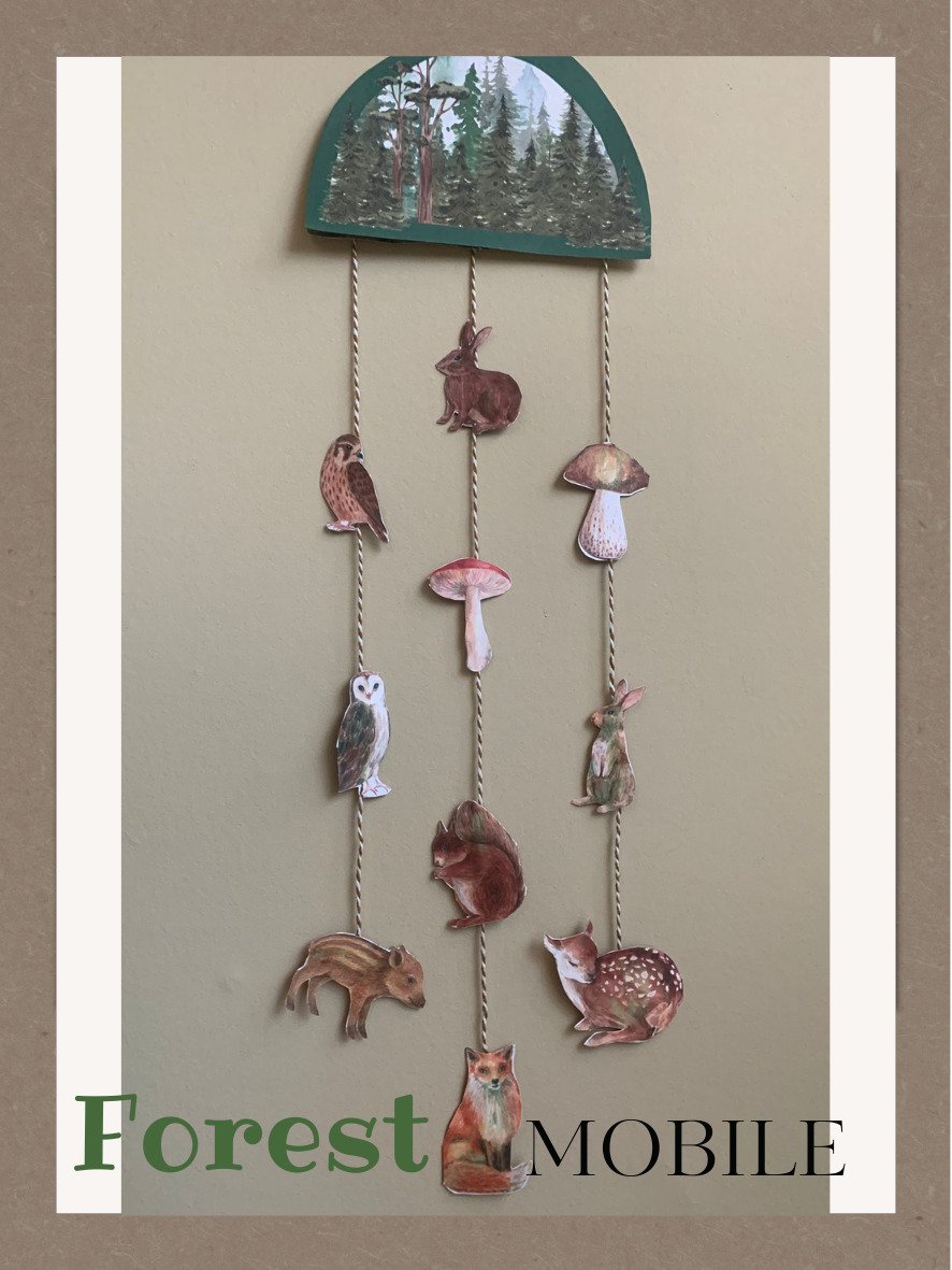 WhatsApp Image 2026-02-12 at 10.22.35.jpeg