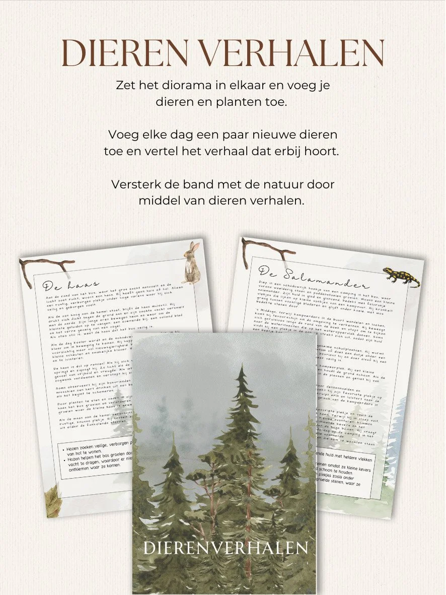 WhatsApp Image 2026-02-09 at 21.0ddd2.44.jpeg