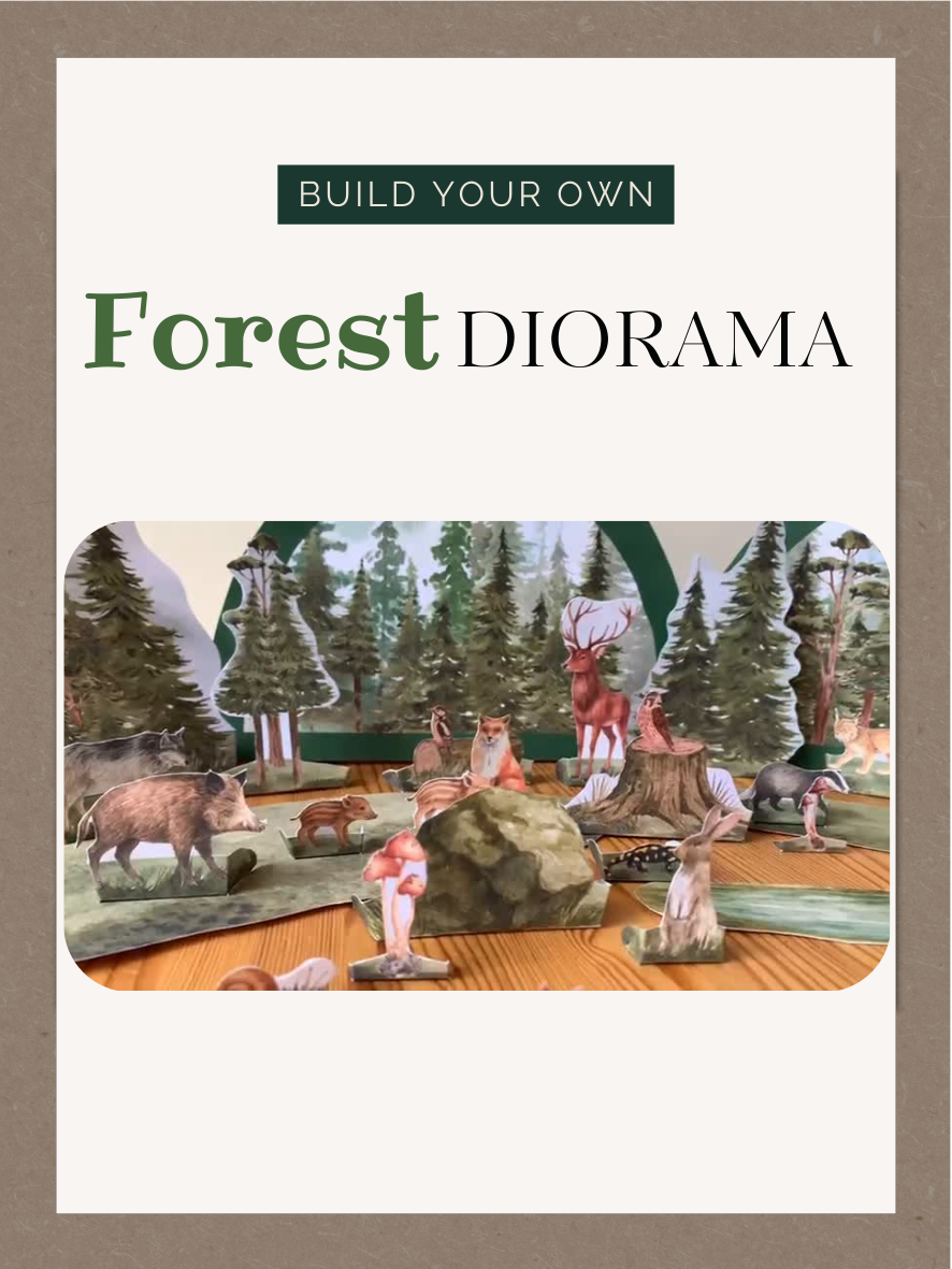 Printable Woodland Animal Diorama Kit