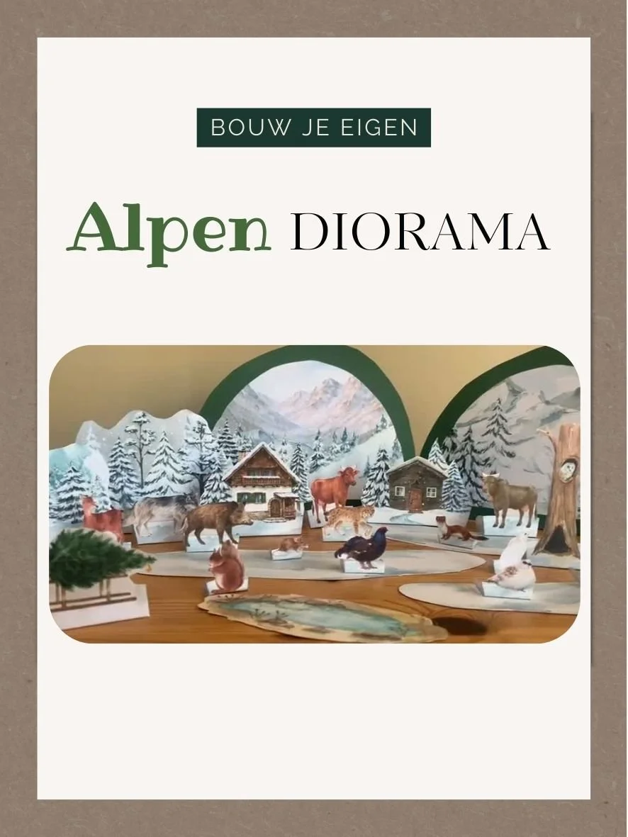 alpen diorama.jpeg