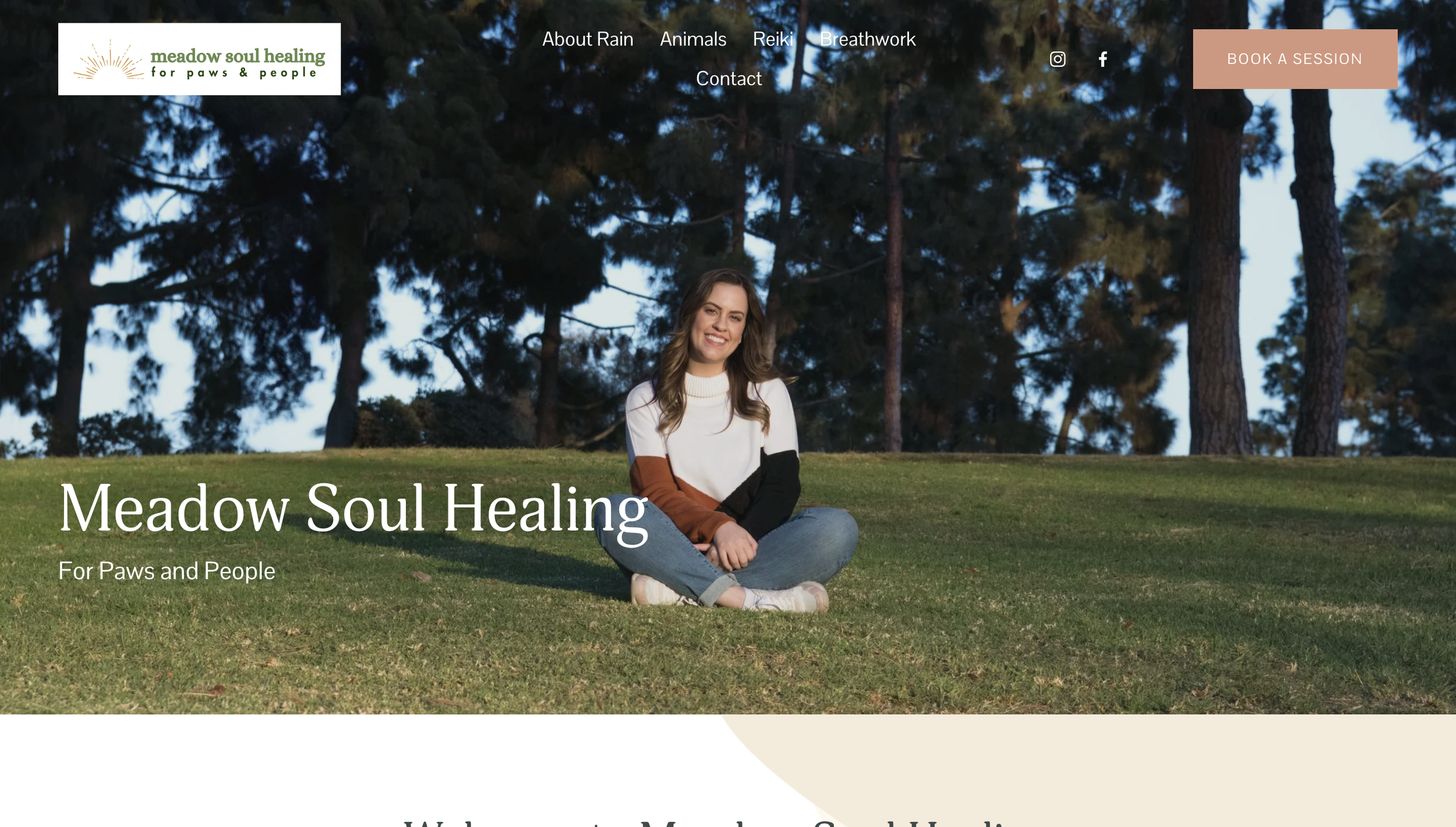 Animal & People Healing Rain Scott