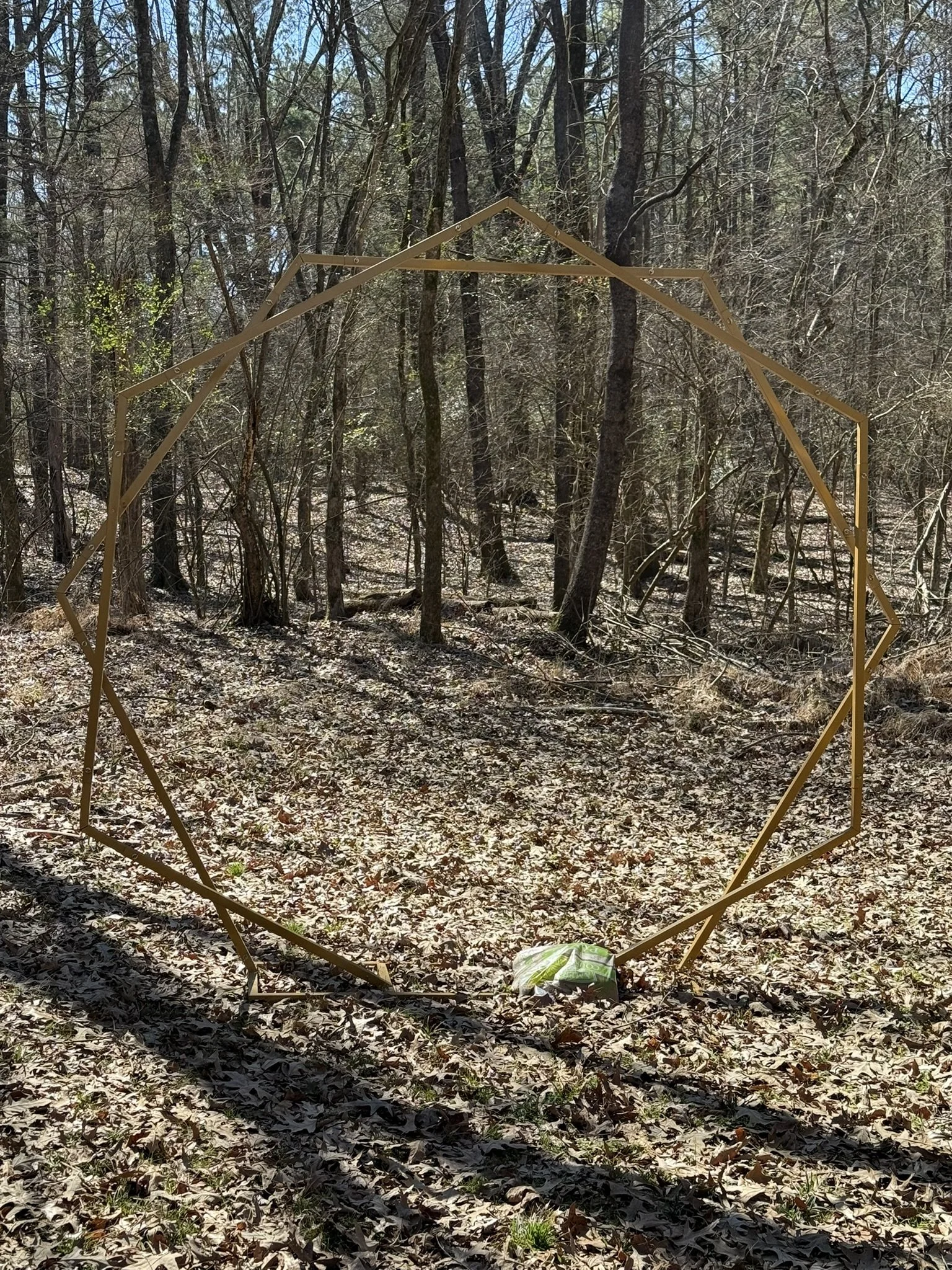 Gold Octagon Metal Arch