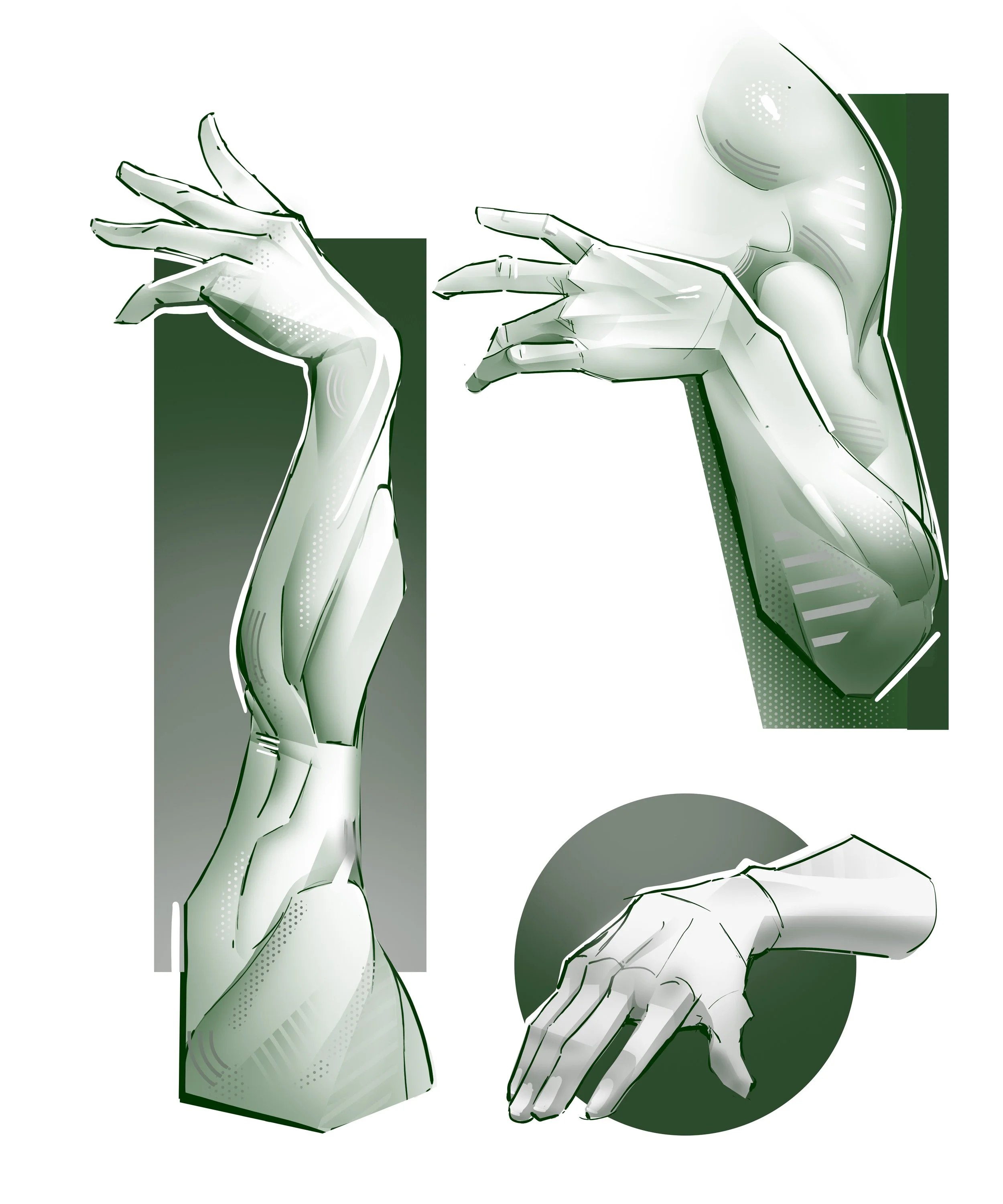 arm anatomy hand green.jpg
