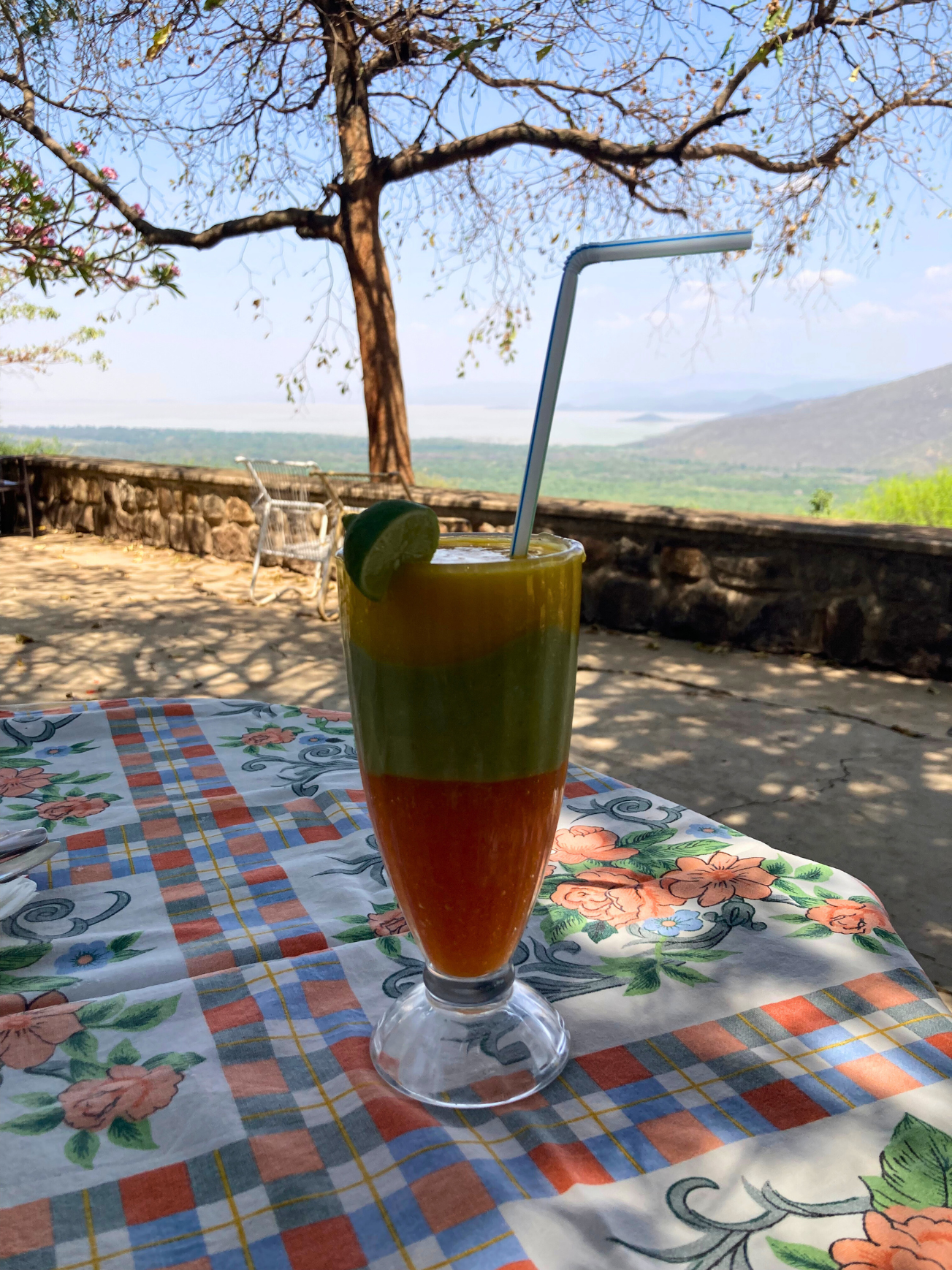 Mango-Avocado-Papaya Juice: A common treat in Ethiopia
