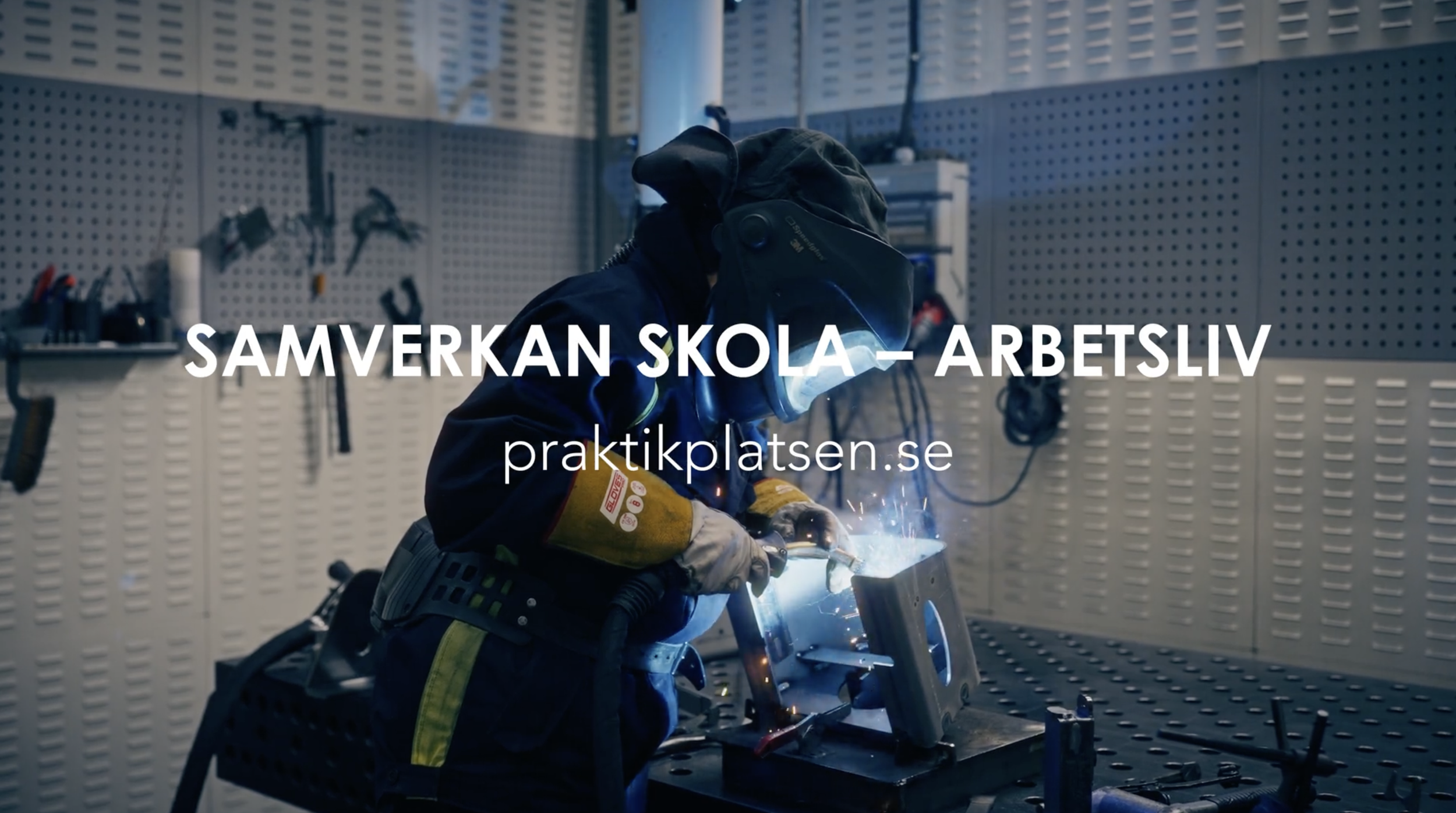 Samverkan skola och arbetsliv - Praktikplatsen.png