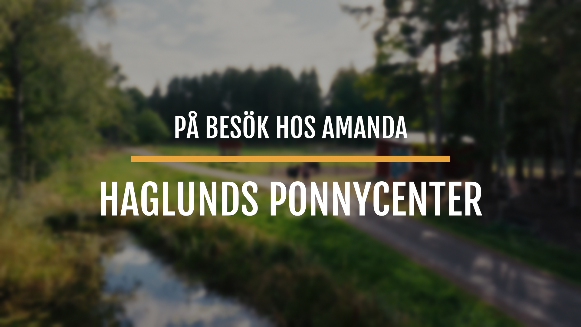 Leader - Haglunds Ponnycenter.png