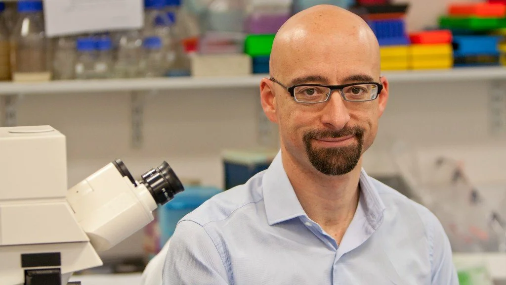 Salvador Macip - Mitja Catalana.jpg