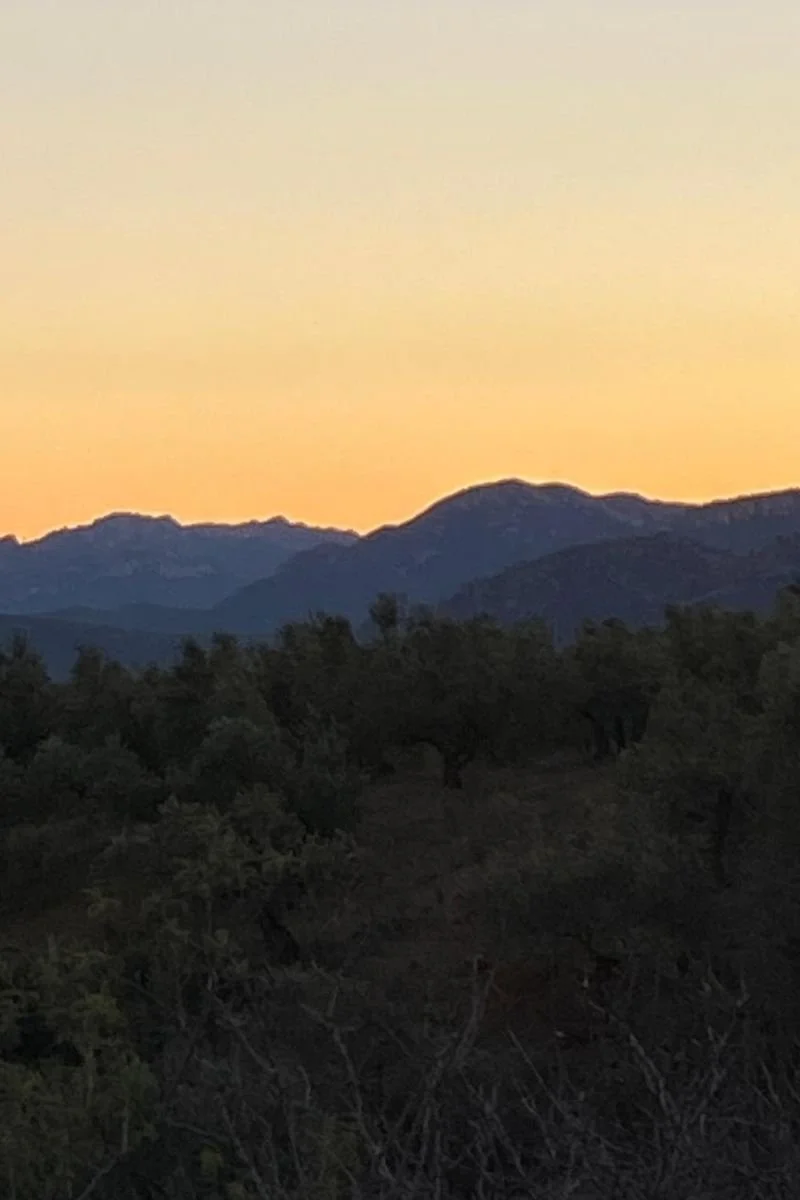 Uitzicht over de bergen