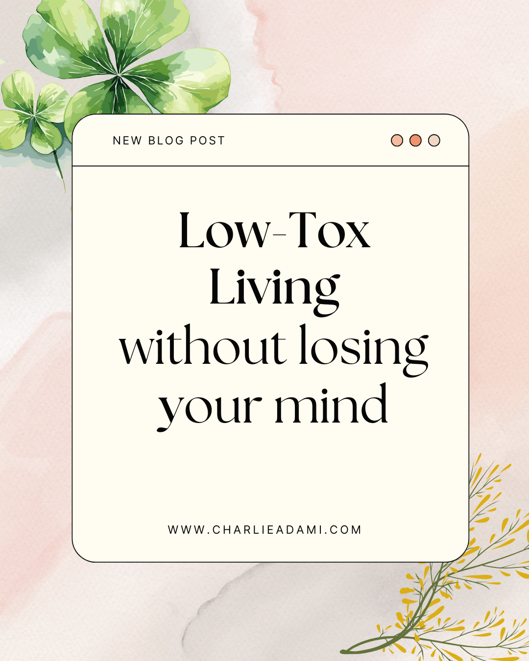 How I’m Creating a Low-Tox Home (Without Overcomplicating It)