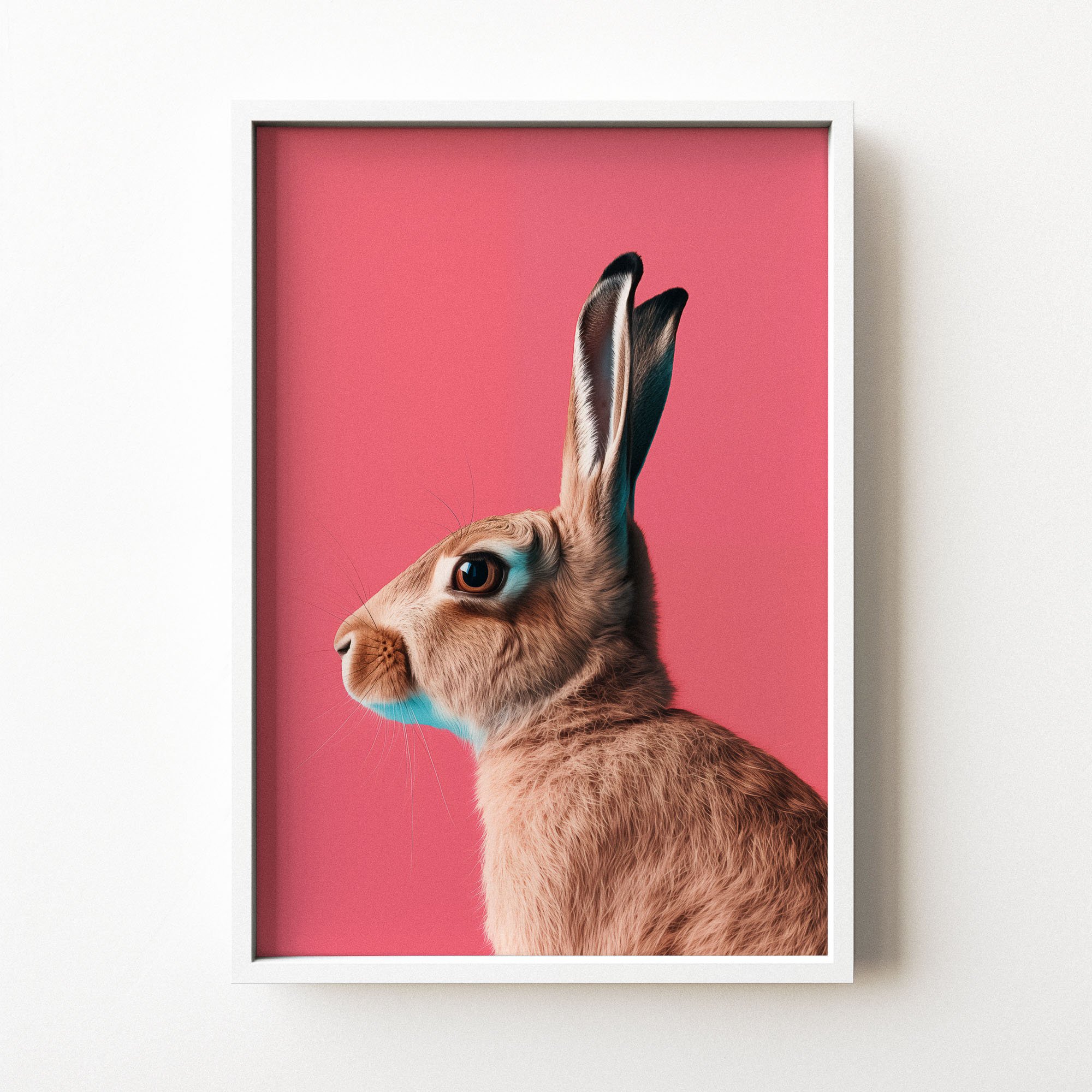 hare-pink-plain-frame-mockup.jpg