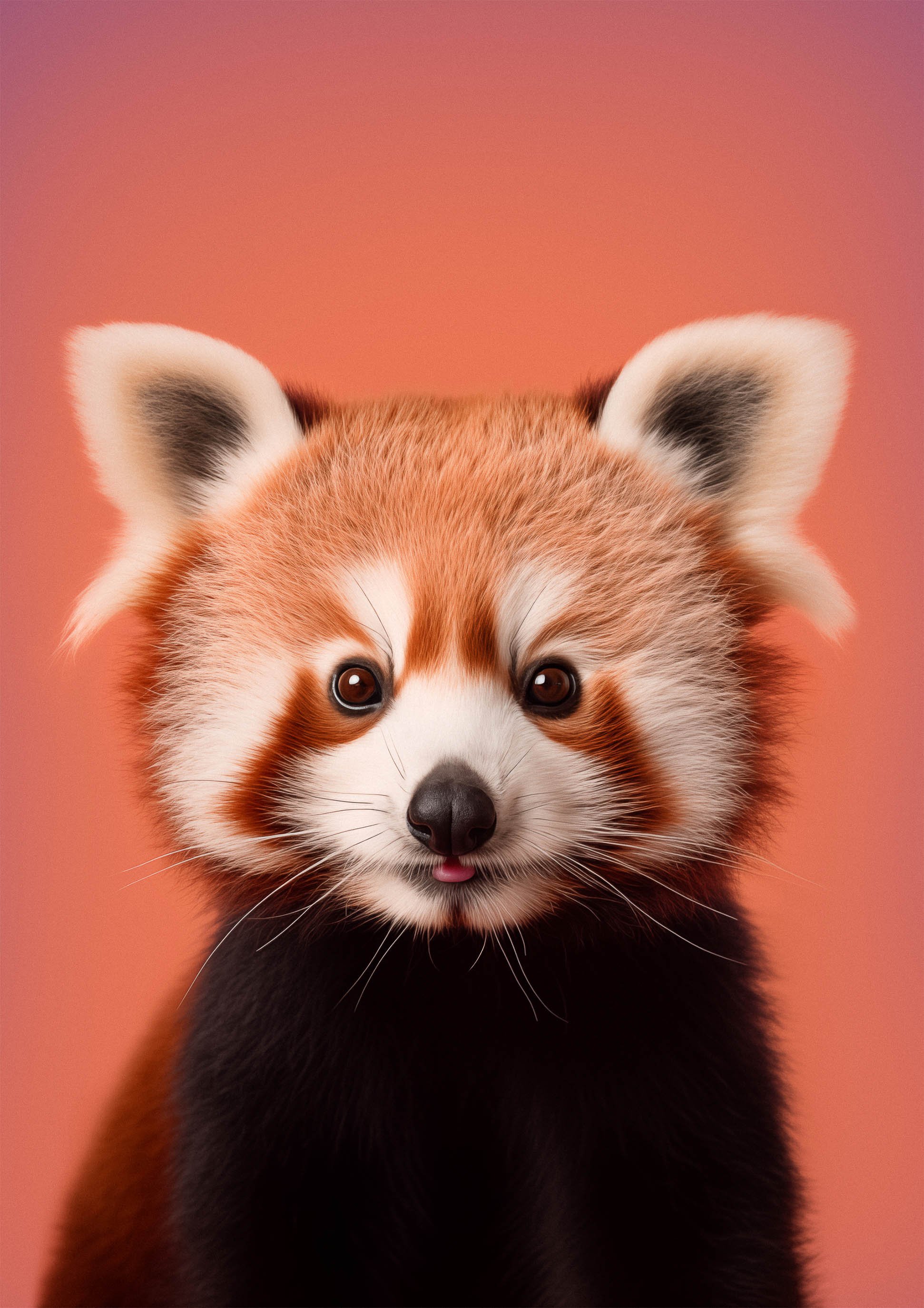 red-panda-looking-straight-out-of-the-print-full-frame-image.jpg
