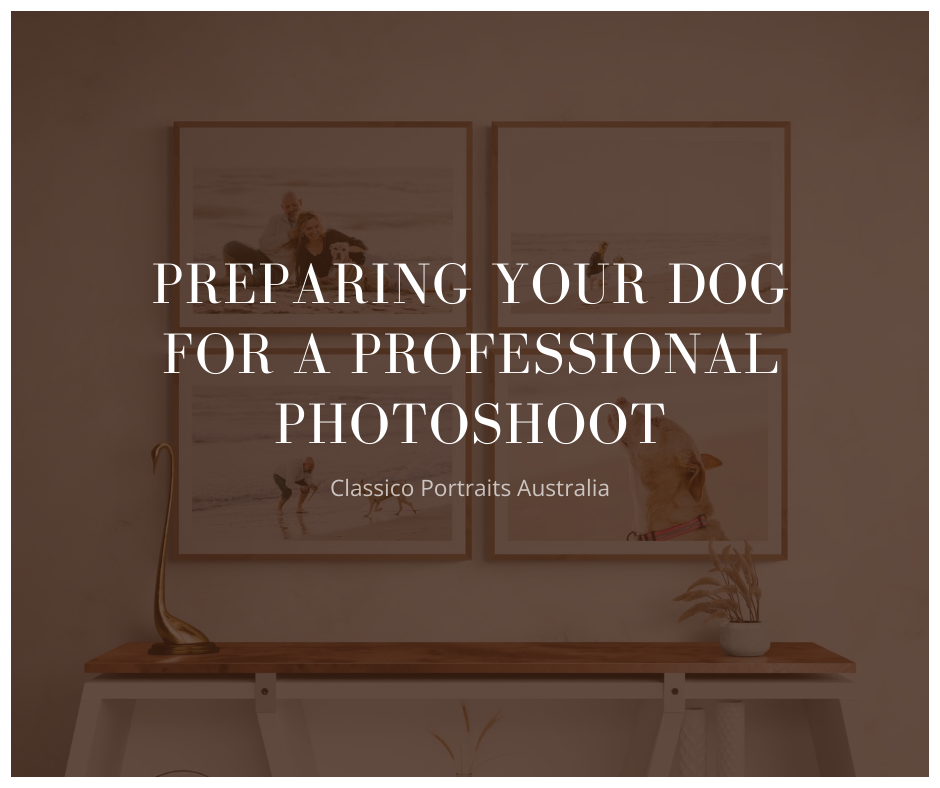 Preparing Your Dog for a Professional Photoshoot