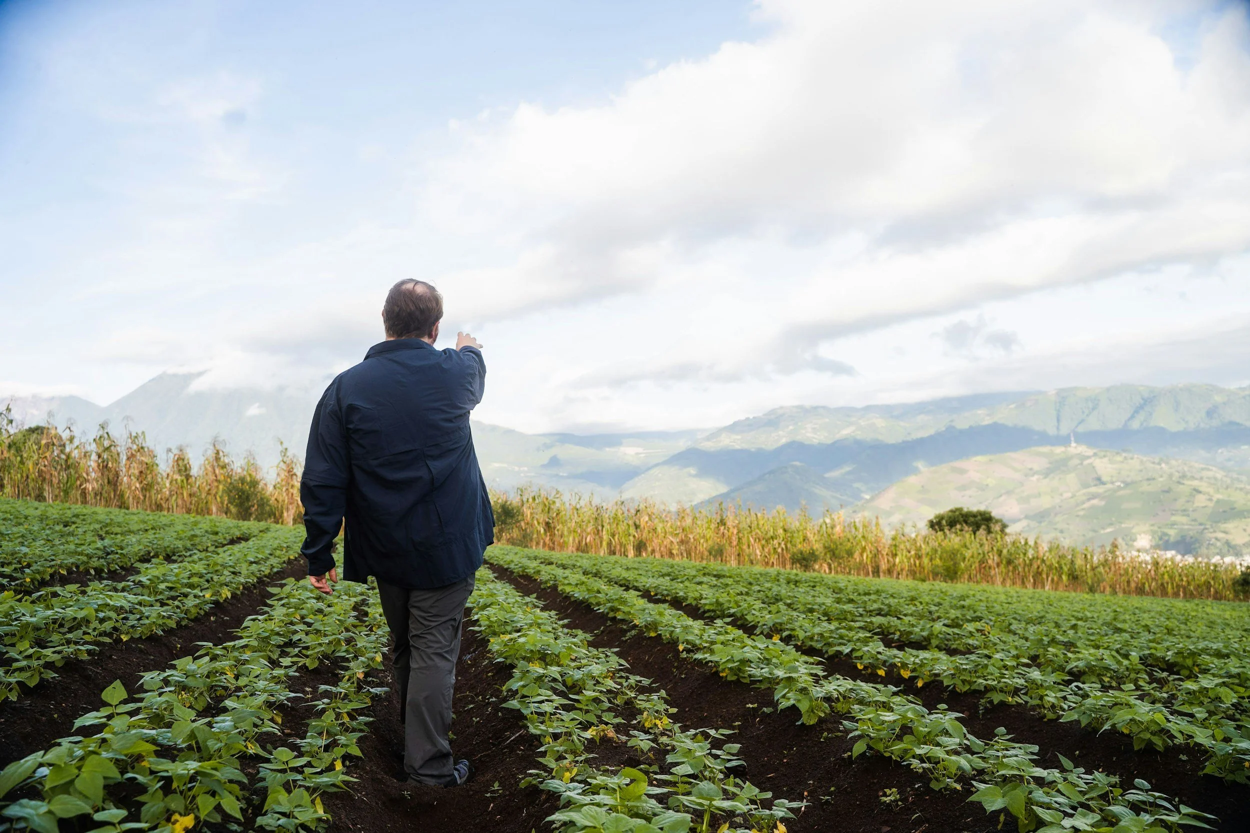 Hombre de espaldas en un campo de cultivo, señalando hacia las montañas al fondo bajo un cielo nublado.